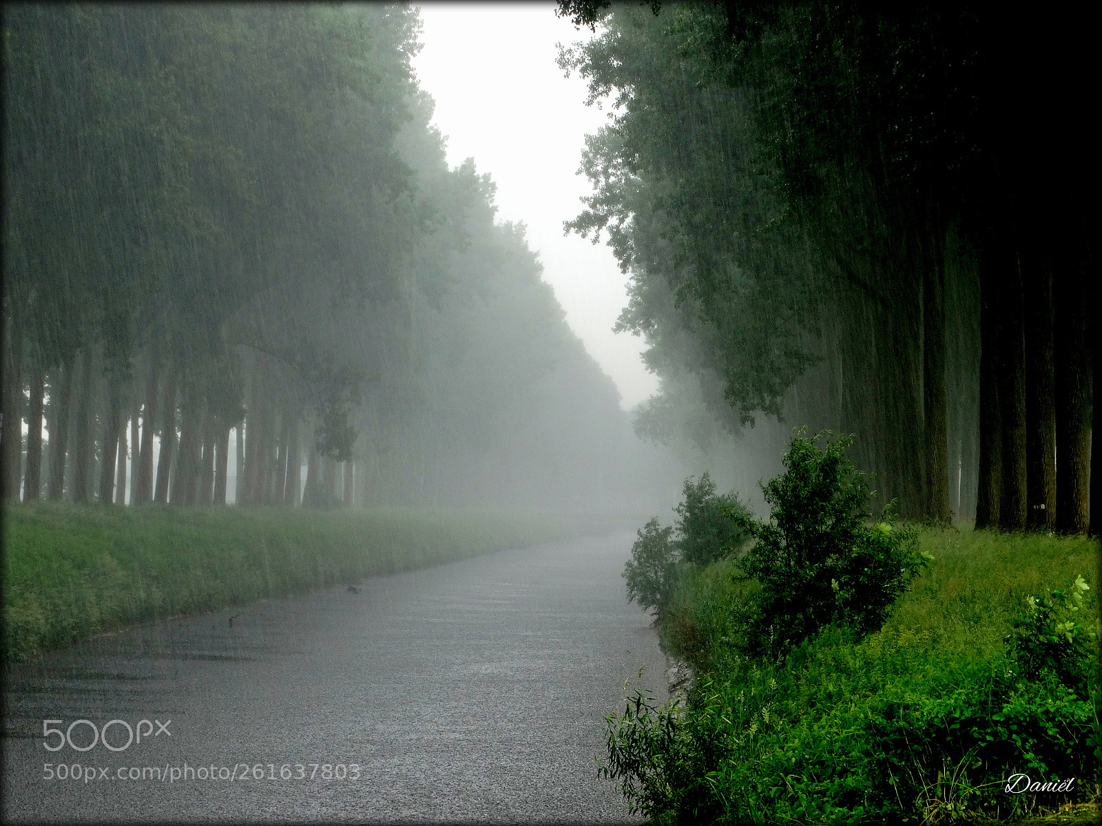 Sony Cyber-shot DSC-HX300 sample photo. Rainy days fog and photography