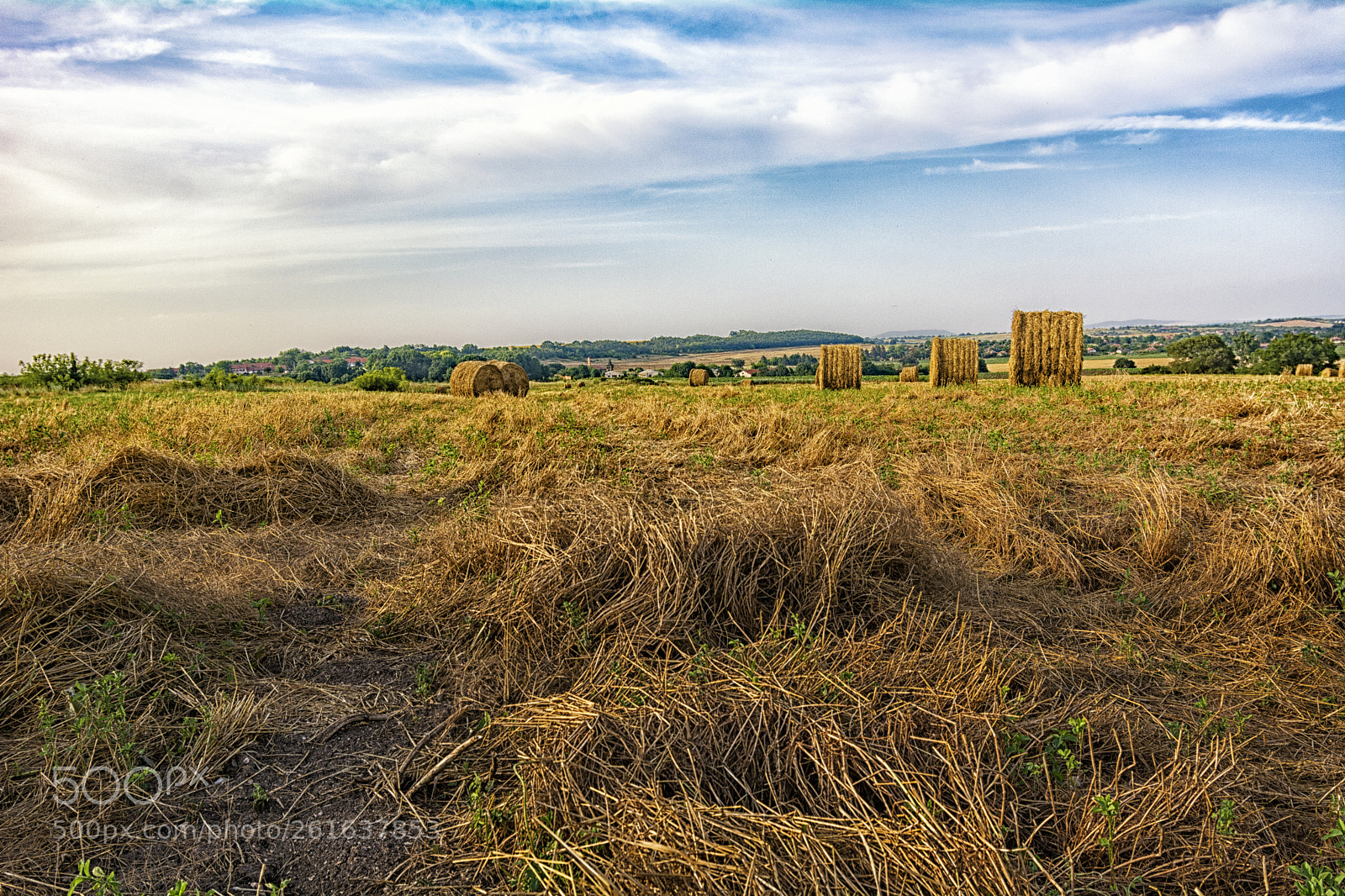 Nikon D5200 sample photo. Harvested field. photography