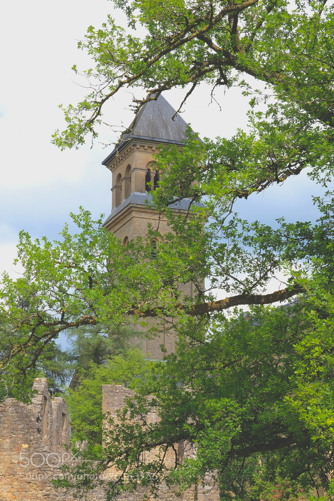 Fujifilm X-T20 sample photo. Monastery tower photography