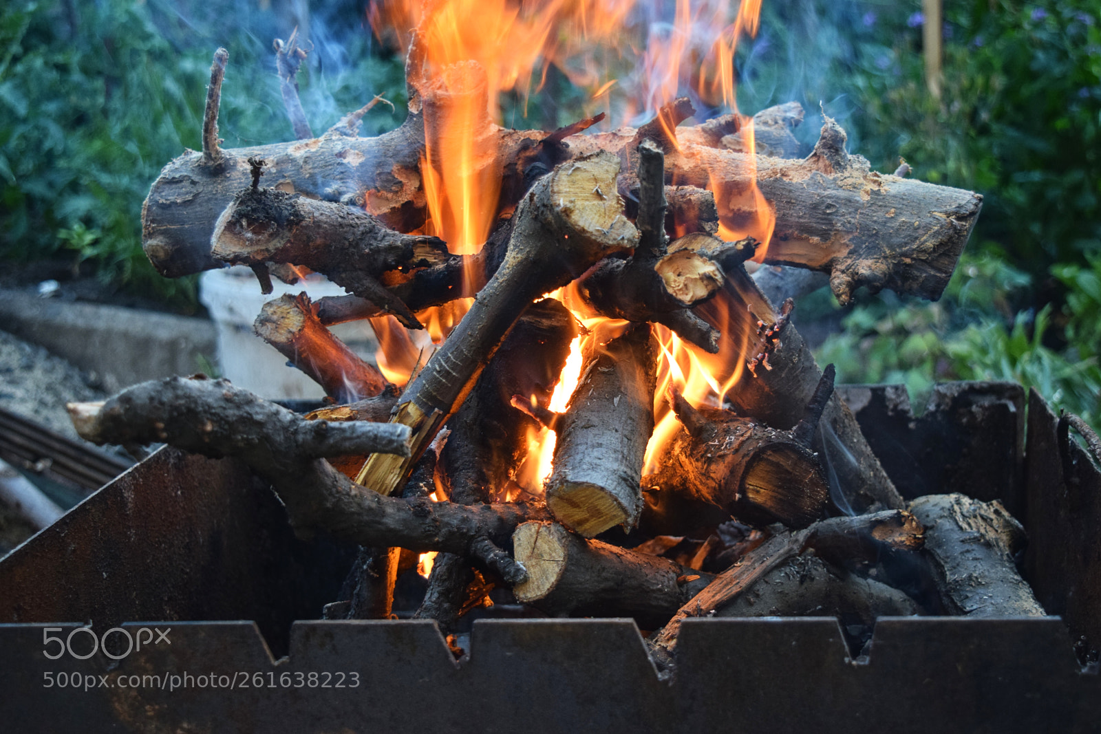 Nikon D3300 sample photo. Fire wood nature photography