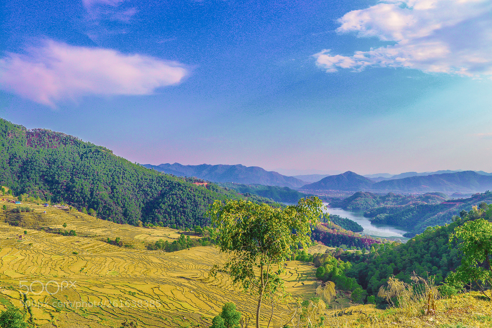 Canon EOS 80D sample photo. Untitled photography
