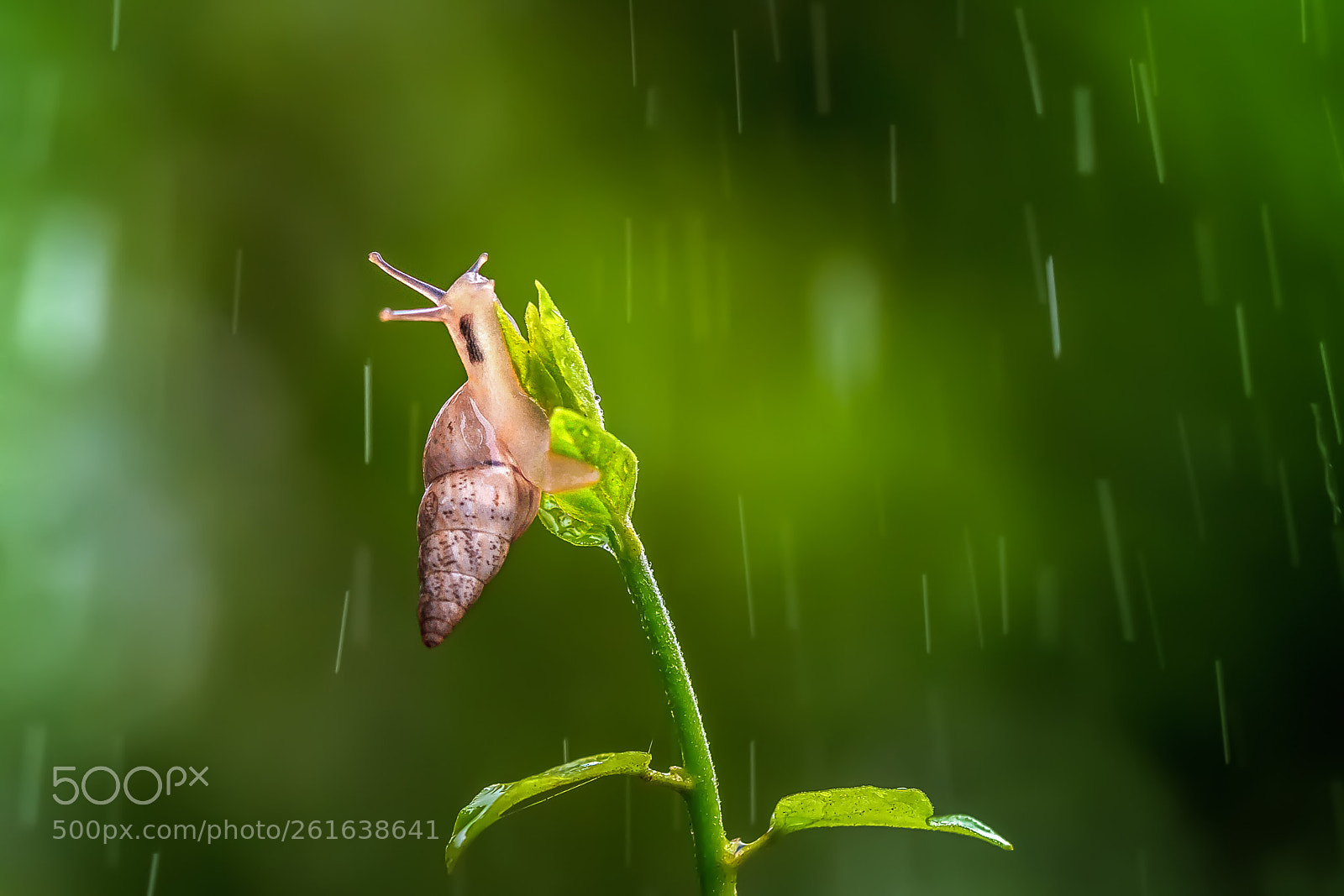 Canon EOS 7D sample photo. Enjoying monsoon photography
