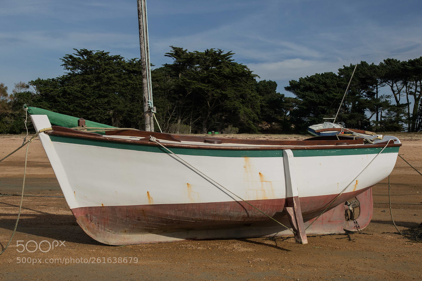 Nikon D5500 sample photo. Yc dsc photography