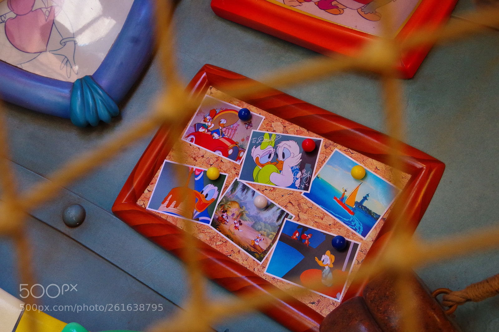 Pentax K-70 sample photo. Untitled photography