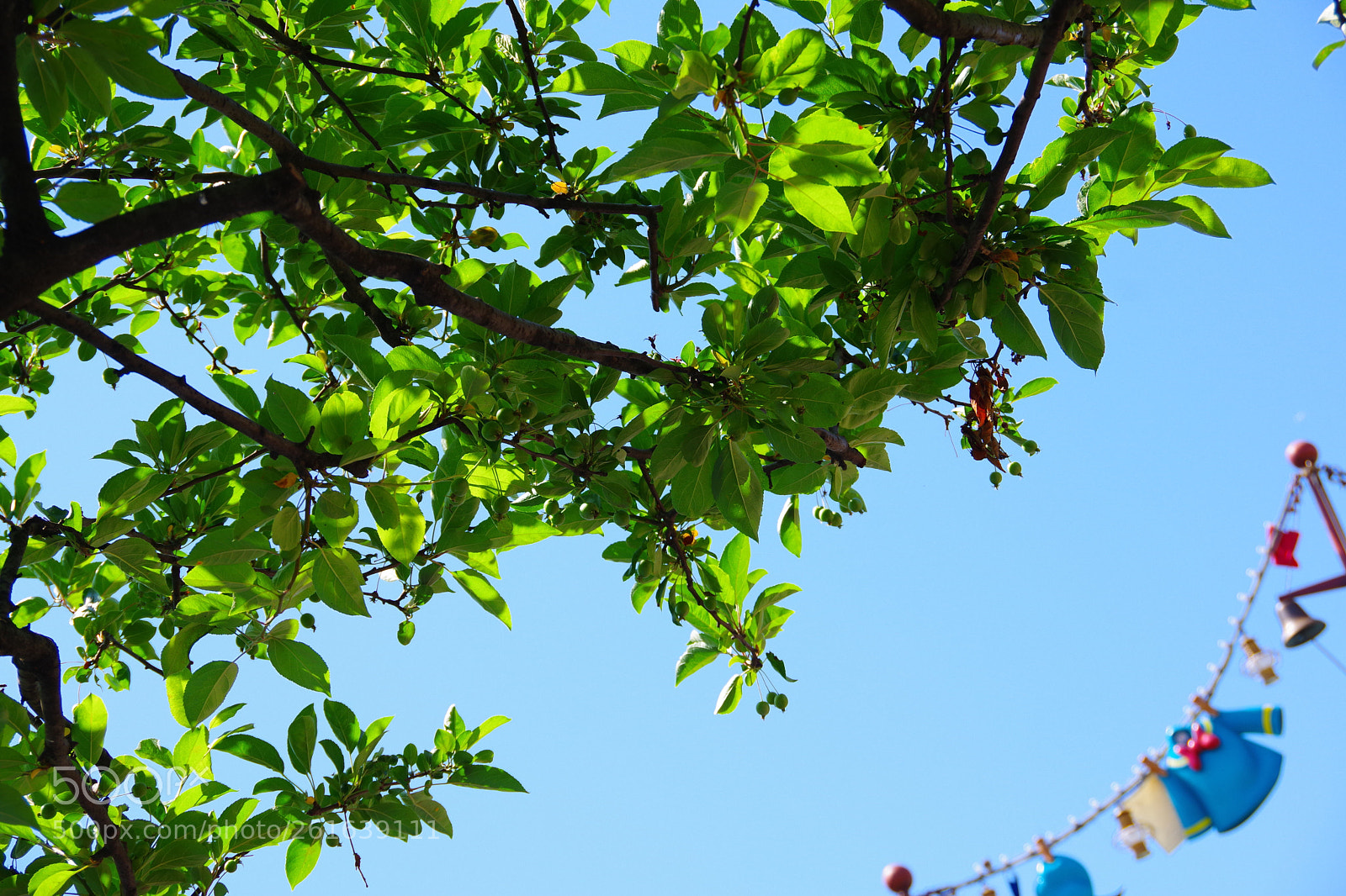 Pentax K-70 sample photo. Untitled photography
