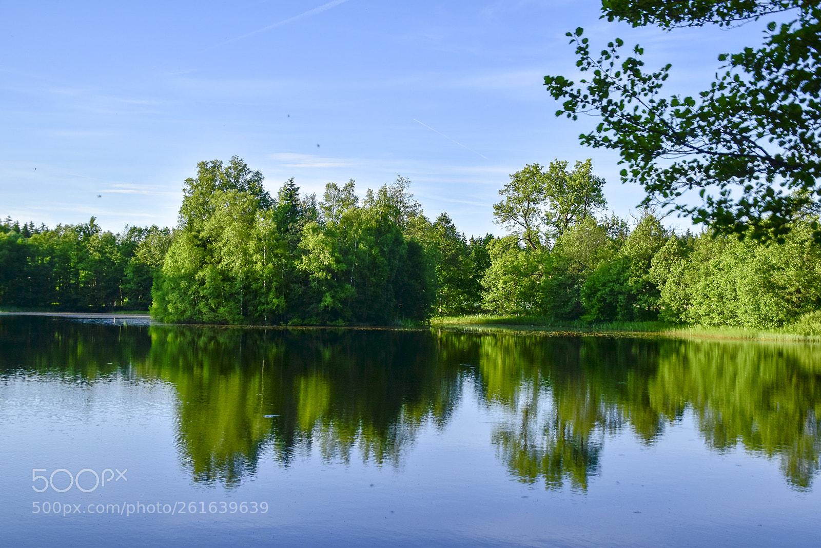 Nikon D5500 sample photo. Blå vatten_02 photography