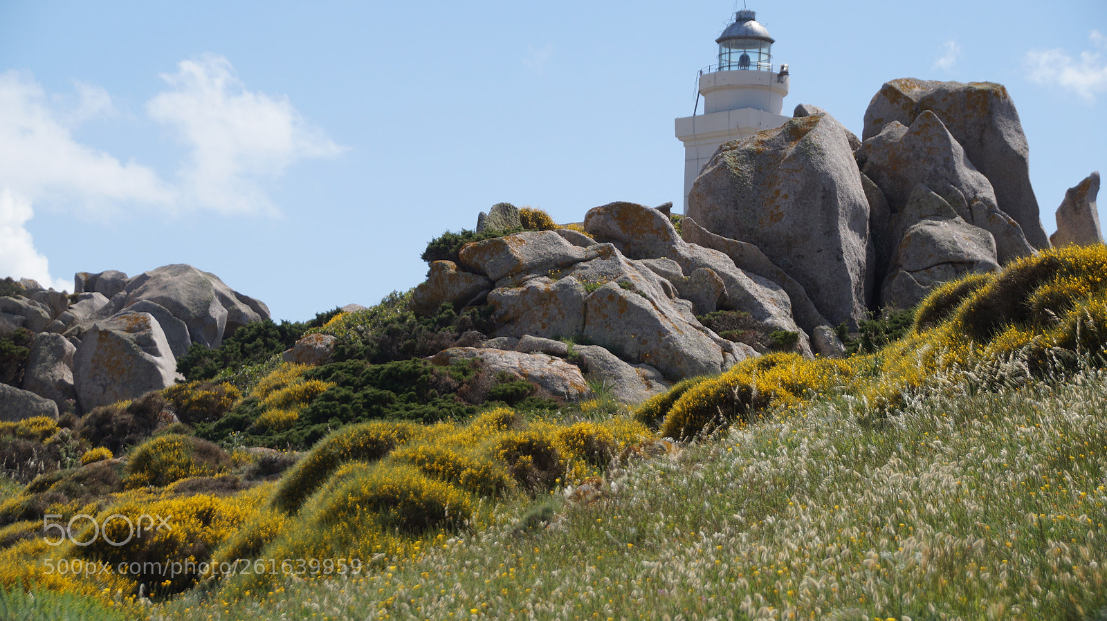 Sony SLT-A58 sample photo. Tower photography
