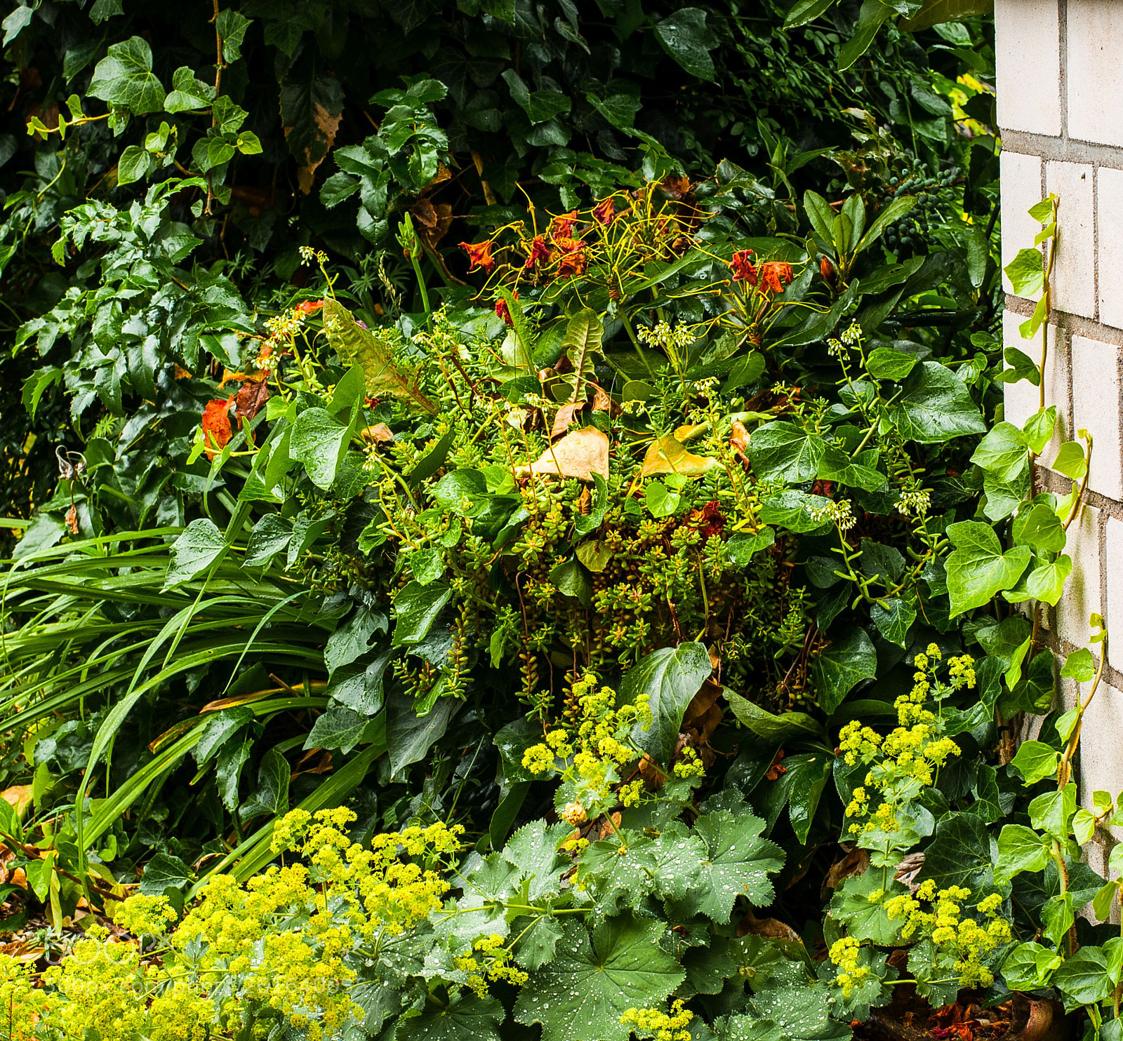 Nikon D300 sample photo. Potpourri photography
