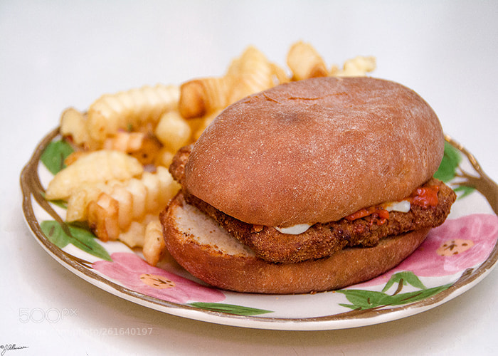 Nikon D7100 sample photo. Chicken parmesan sandwich with photography