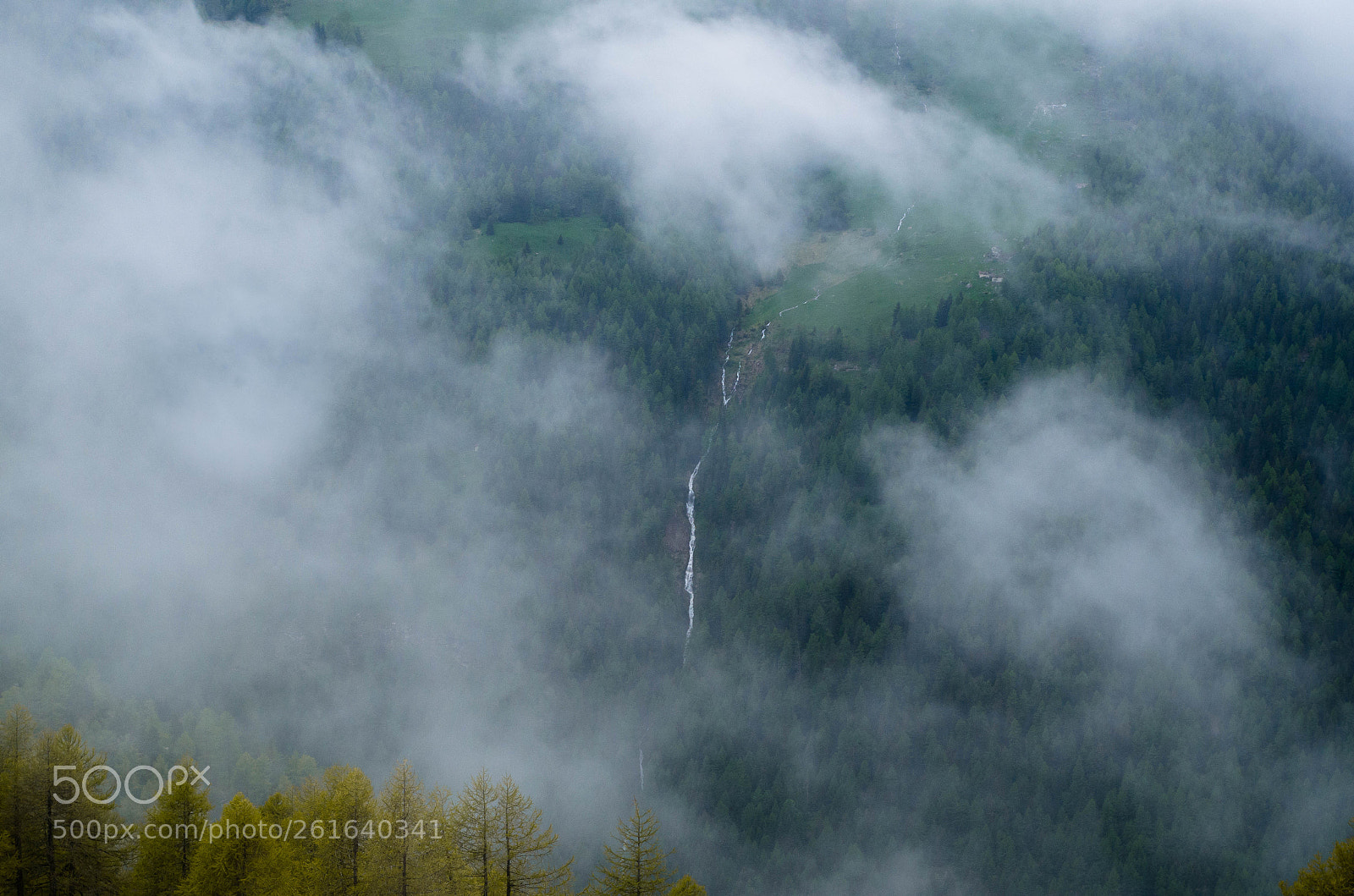 Pentax K-30 sample photo. Dissolve photography