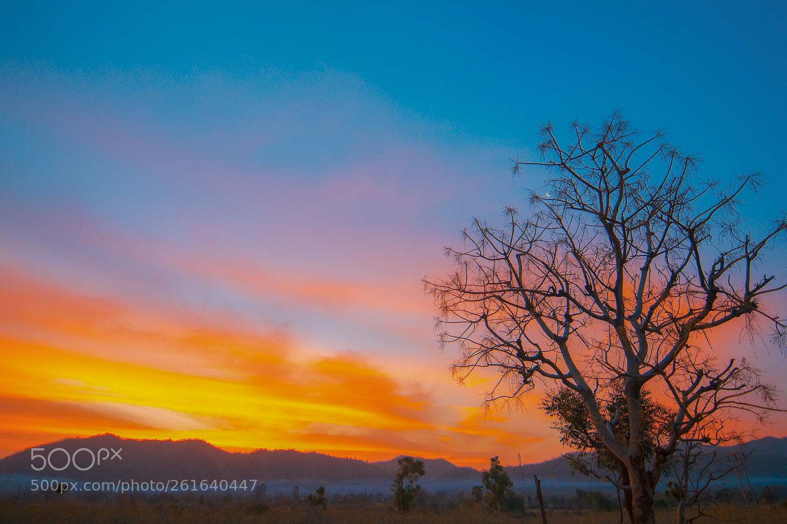 Canon EOS 60D sample photo. Landscape love. photography