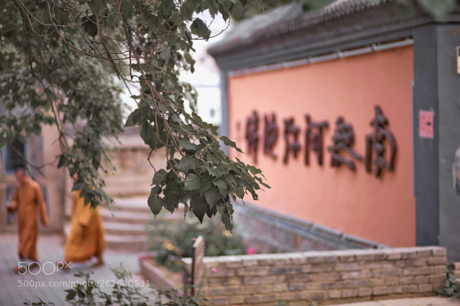Canon EOS 5D Mark II sample photo. Untitled photography