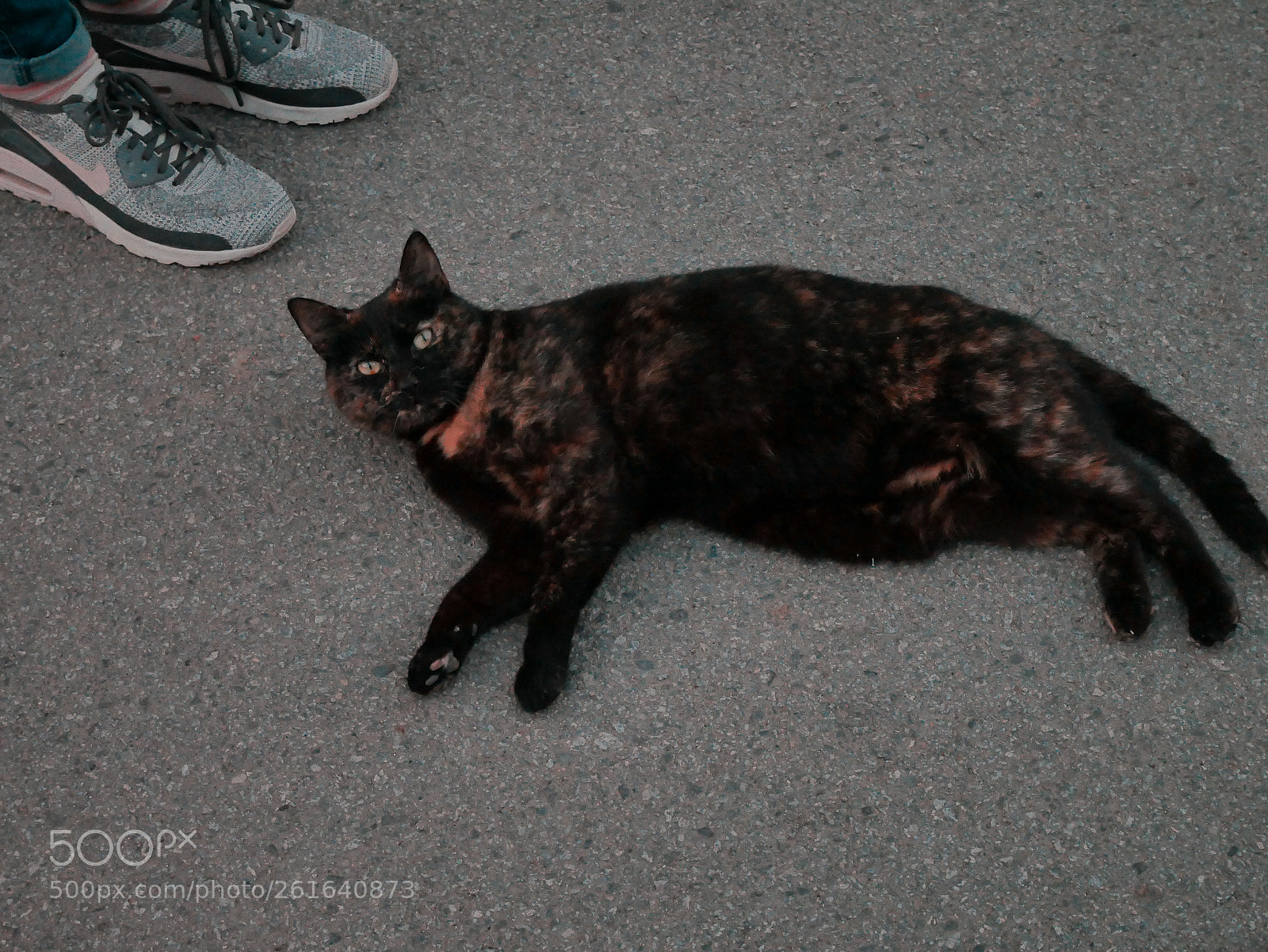 Panasonic Lumix DMC-GX85 (Lumix DMC-GX80 / Lumix DMC-GX7 Mark II) sample photo. Nike photography