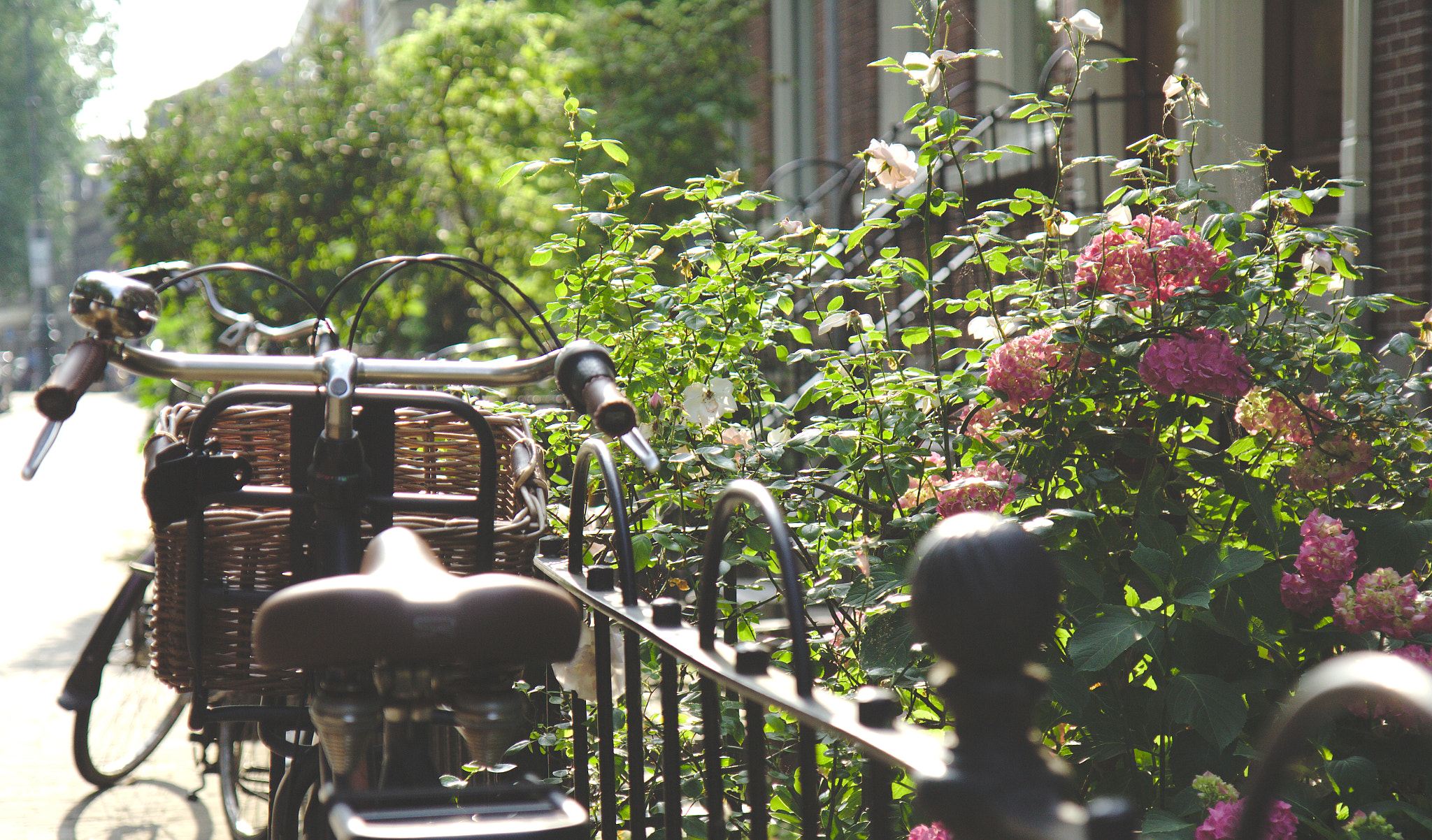 Canon EF-S 17-55mm F2.8 IS USM sample photo. Bicycles, bicycles everywhere photography