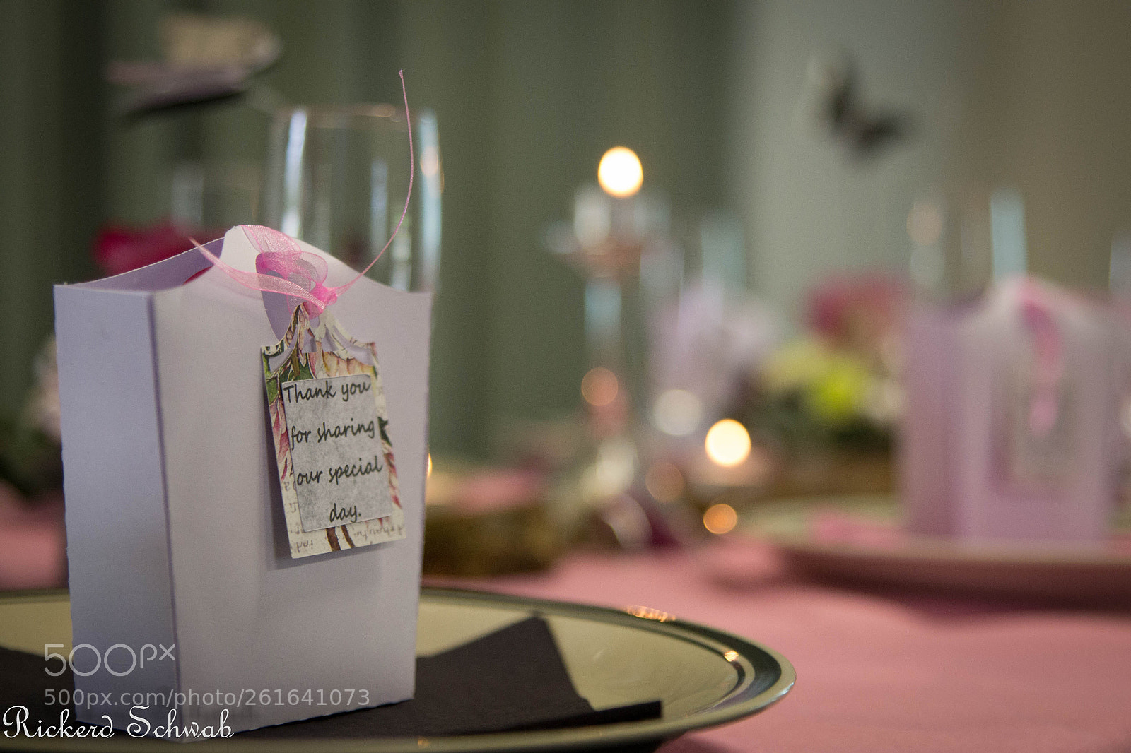 Nikon D3100 sample photo. Untitled photography