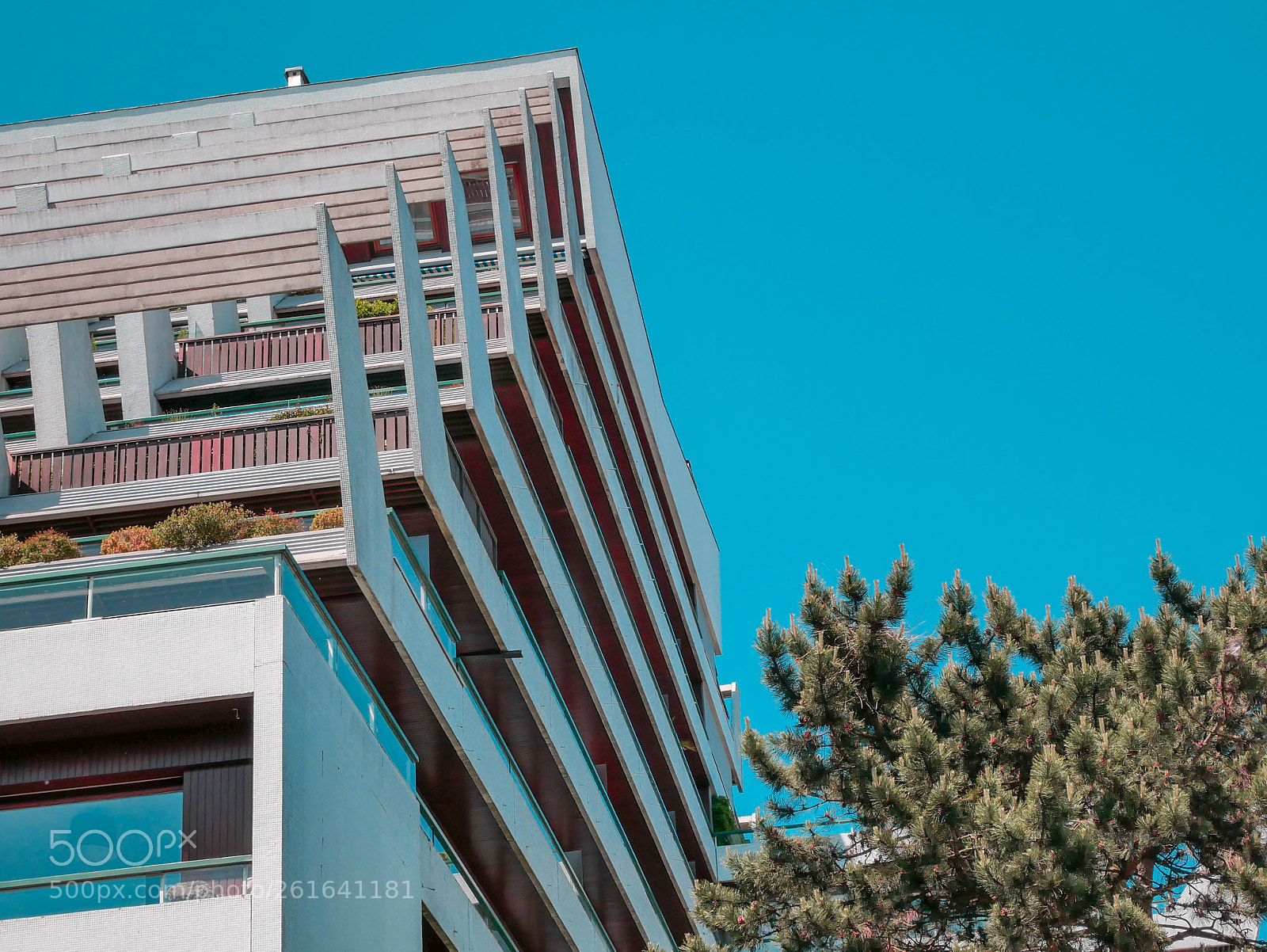 Panasonic Lumix DMC-GX85 (Lumix DMC-GX80 / Lumix DMC-GX7 Mark II) sample photo. Paquebot photography