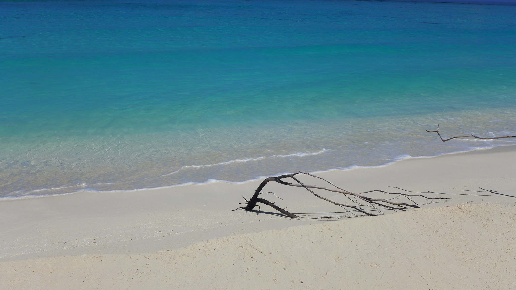 Leica D-Lux 6 sample photo. Maldives are the joy forever photography
