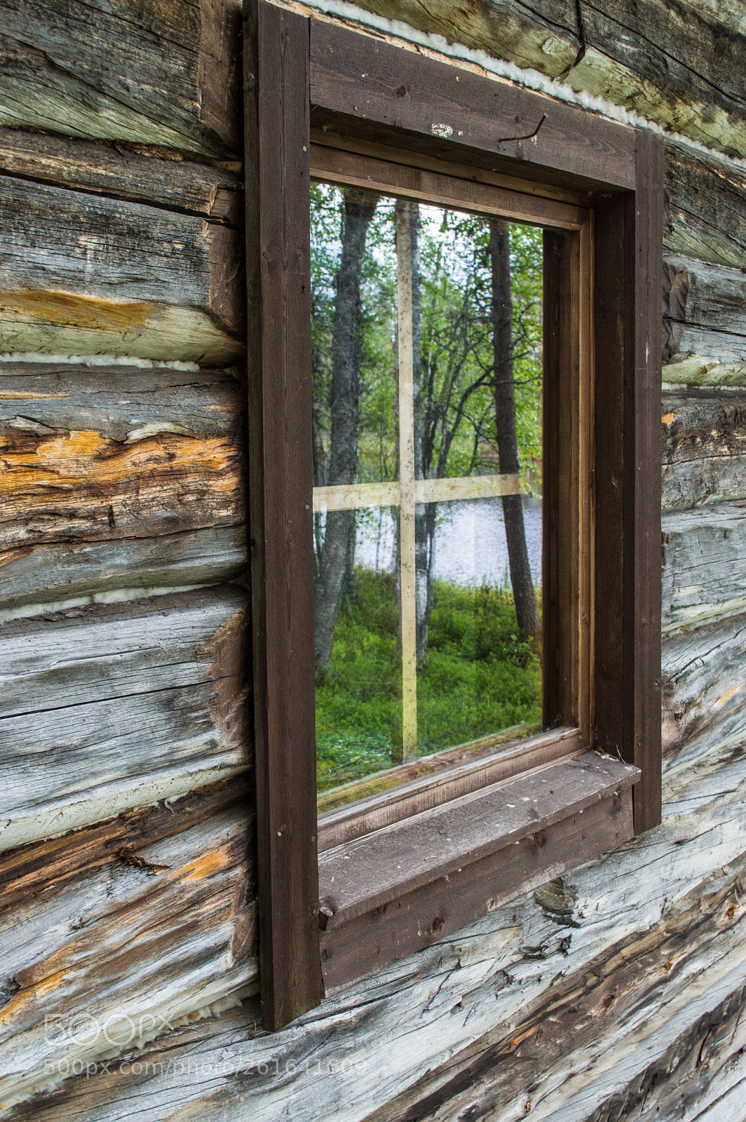 Nikon D3200 sample photo. Summer reflection photography