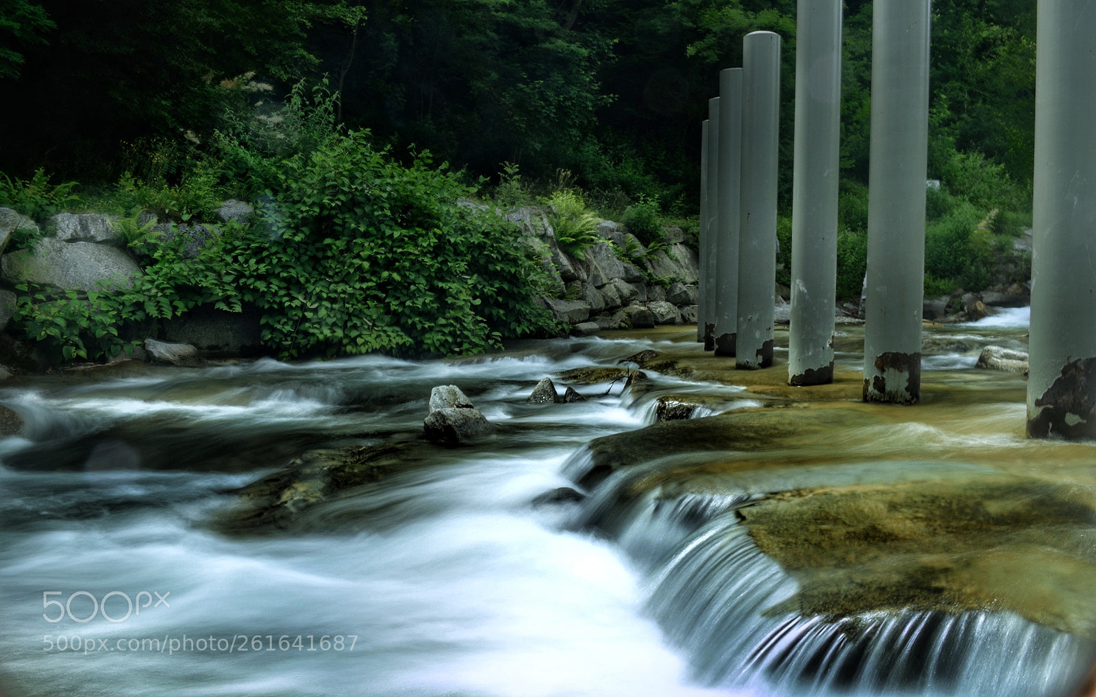 Nikon D3300 sample photo. Relaxing sound photography