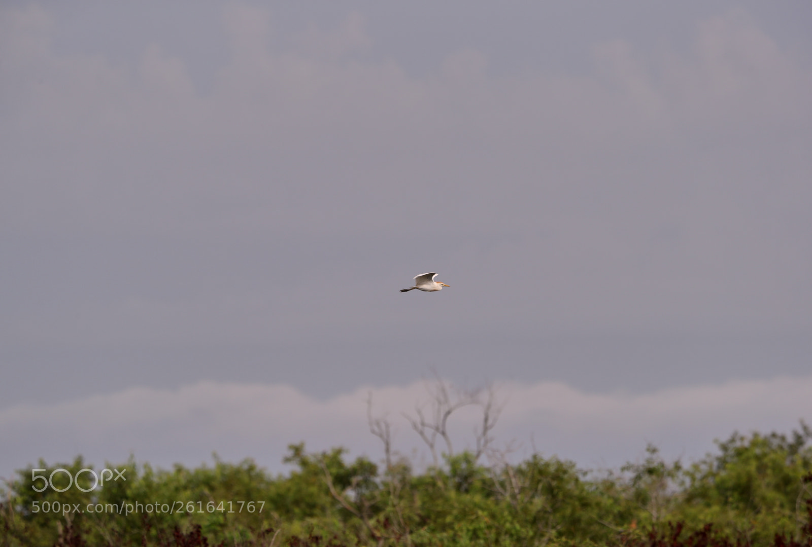 Canon EOS-1D X Mark II sample photo. 06-10-18-0021967 1.jpg photography