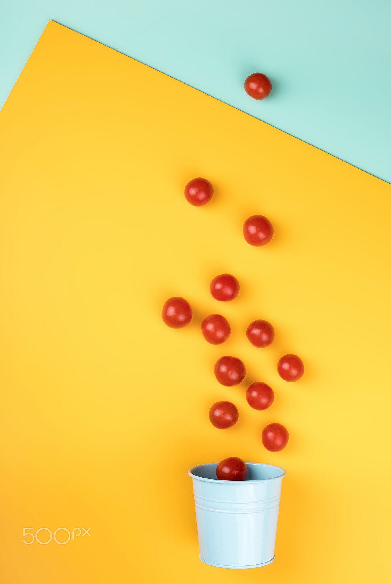 Red tomatoes fall into a blue bucket. Yellow blue background