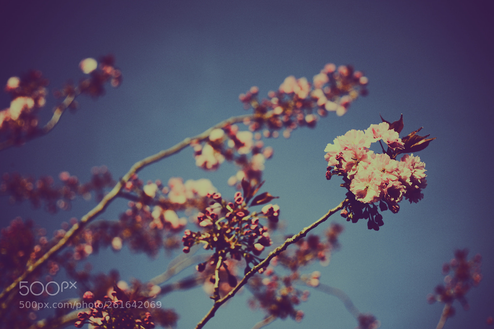 Canon EOS 5D sample photo. The much so boring photography
