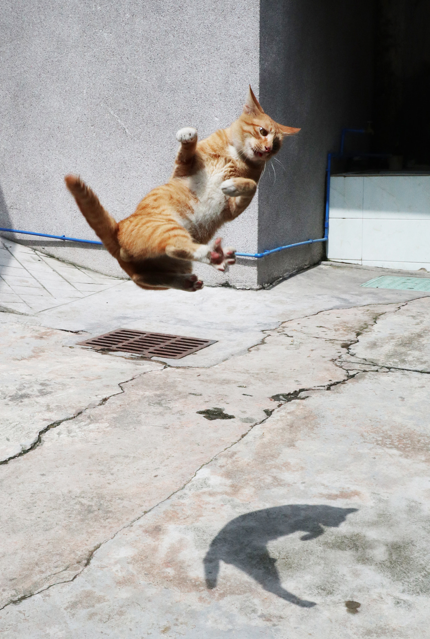 Canon EOS M100 sample photo. Img photography