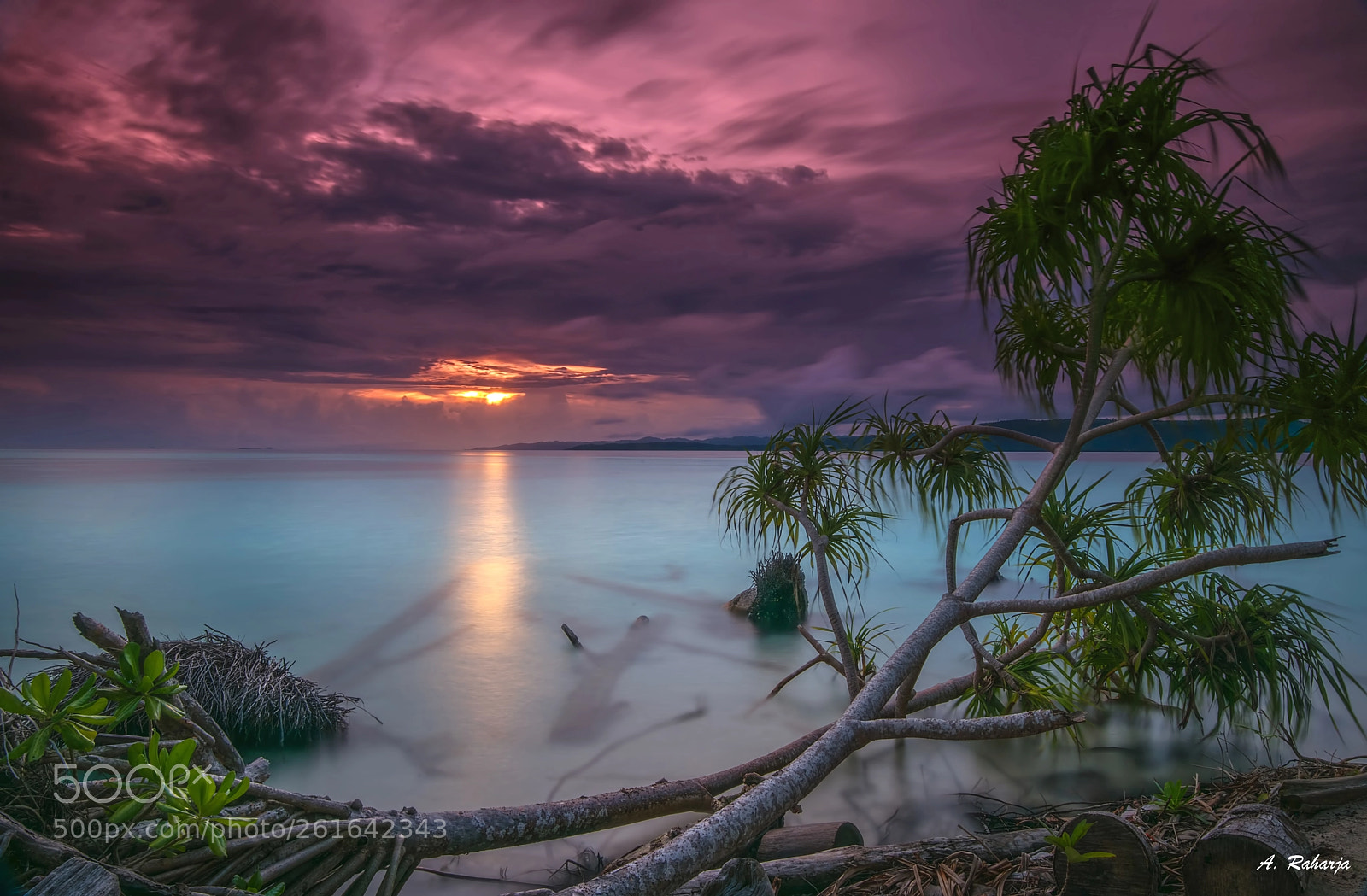 Nikon D810 sample photo. After the storm photography