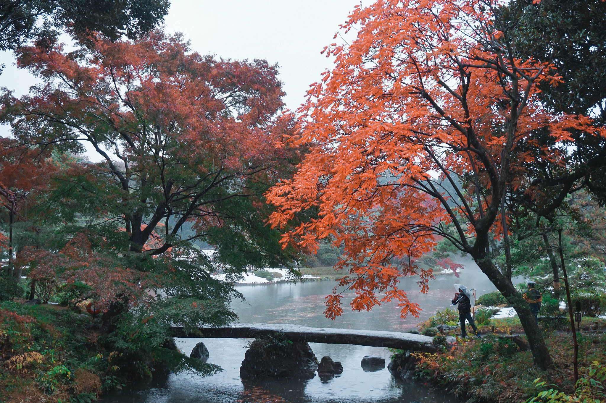 Sony Alpha a5000 (ILCE 5000) sample photo. Four seasons photography