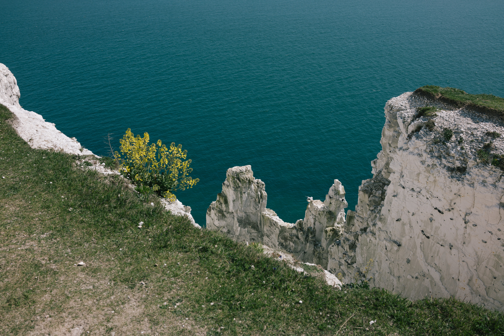 Sony Cyber-shot DSC-RX1R II sample photo. White cliffs of dover photography