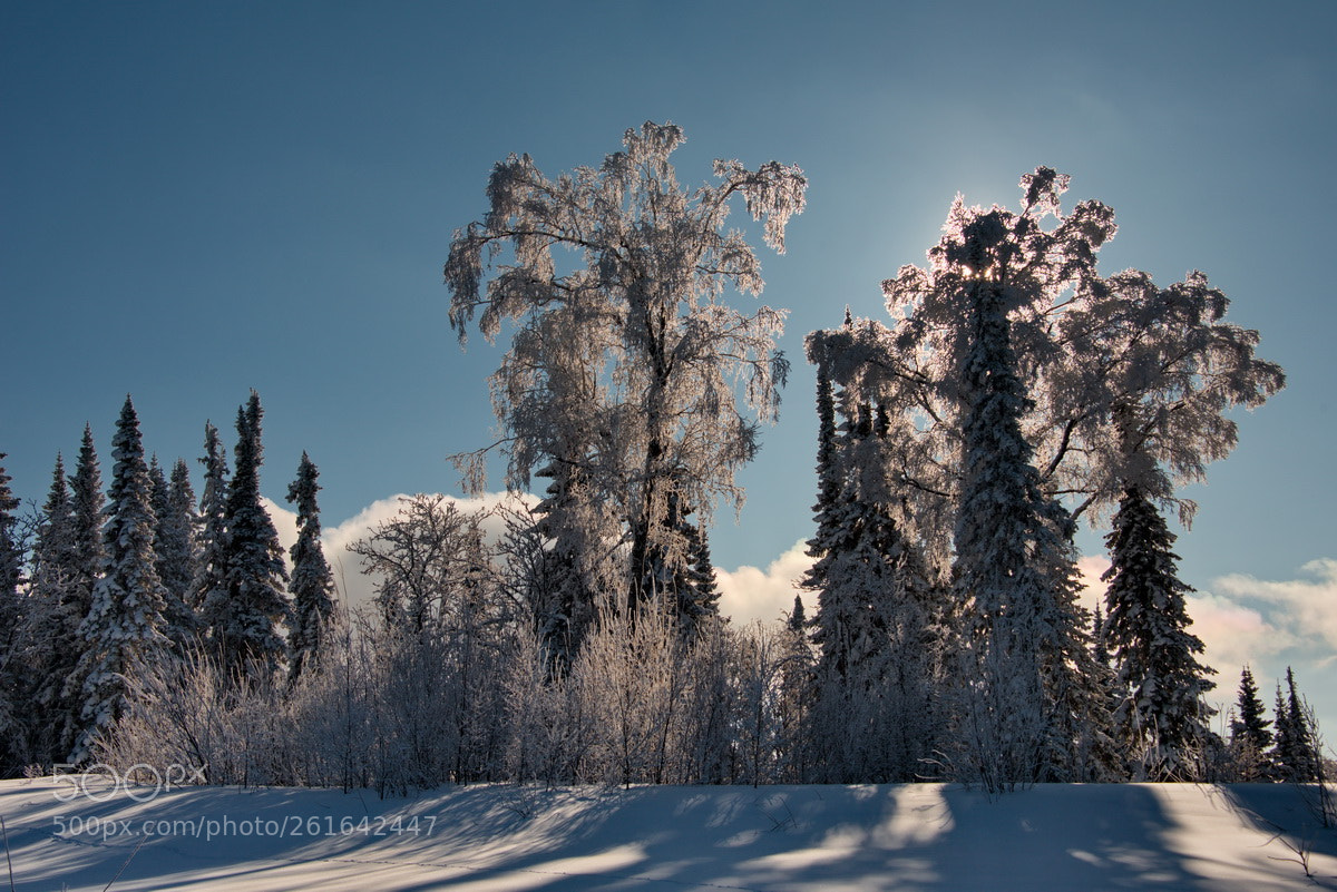 Nikon D750 sample photo. Russia. the south of photography