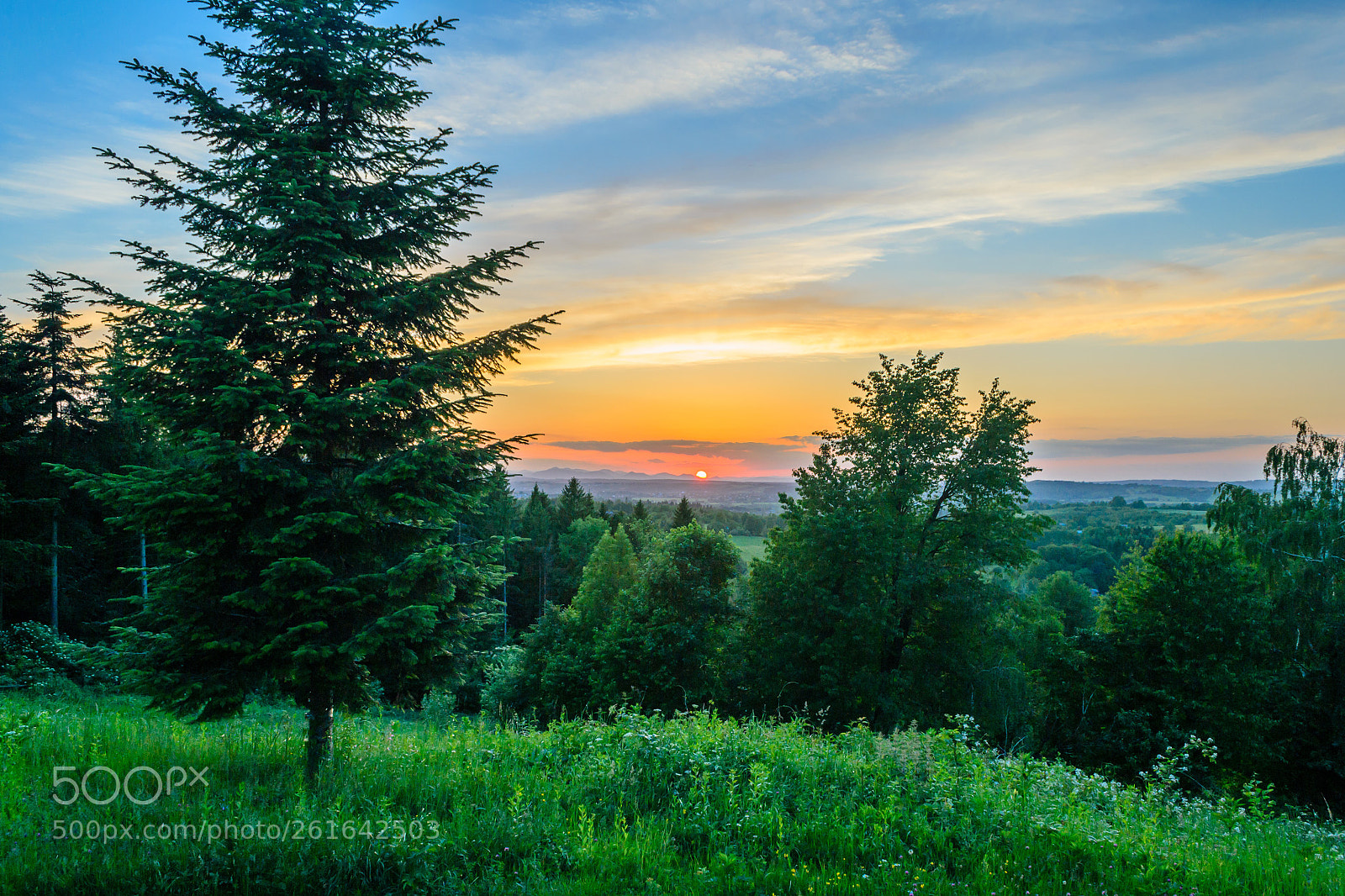 Nikon D3100 sample photo. Countryside sunset photography