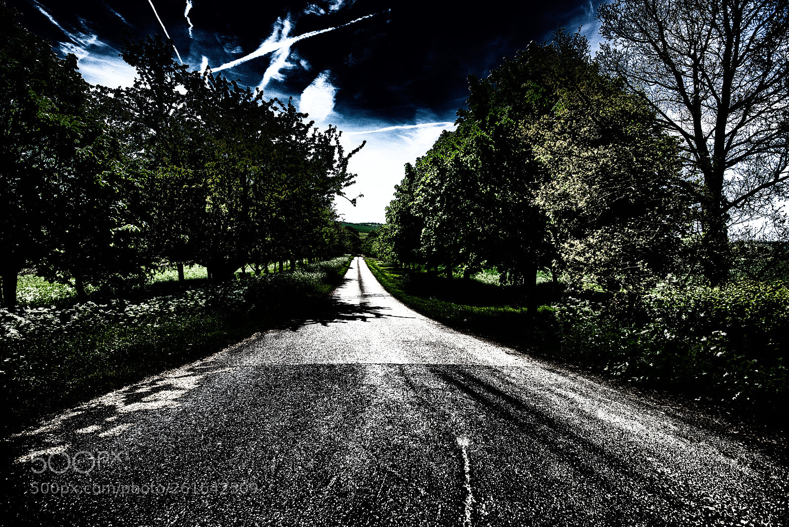 Nikon D810 sample photo. Road to nowhere photography
