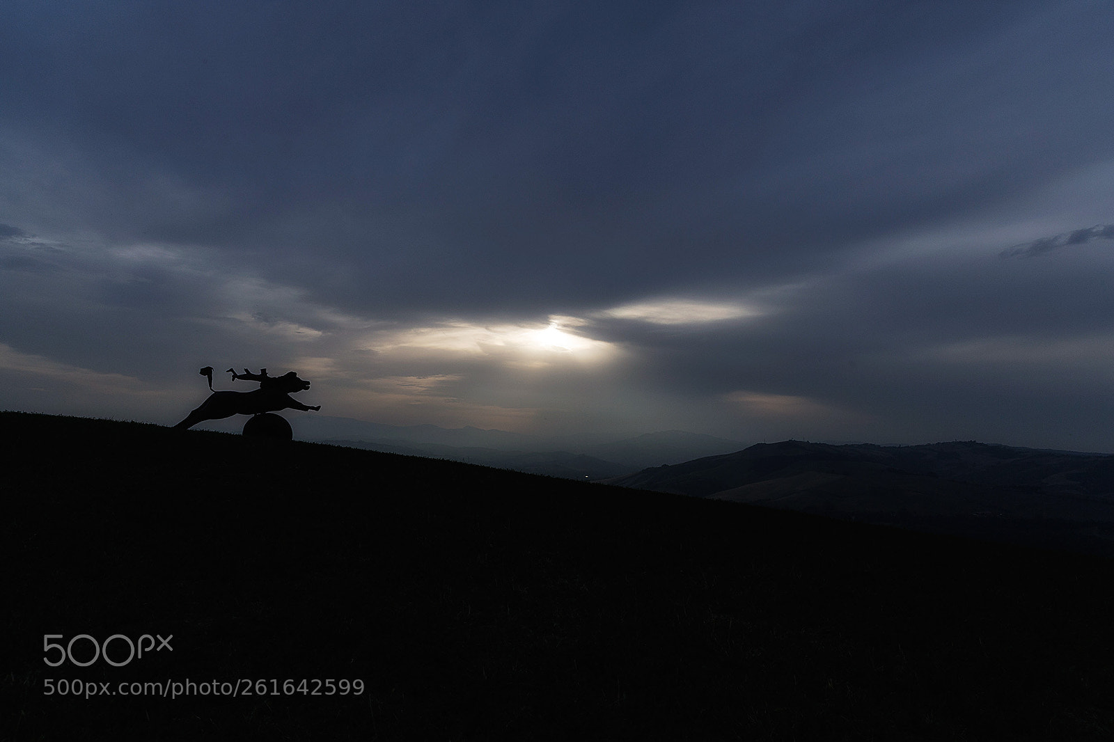 Canon EOS-1Ds Mark II sample photo. Il pensiero pi veloce photography
