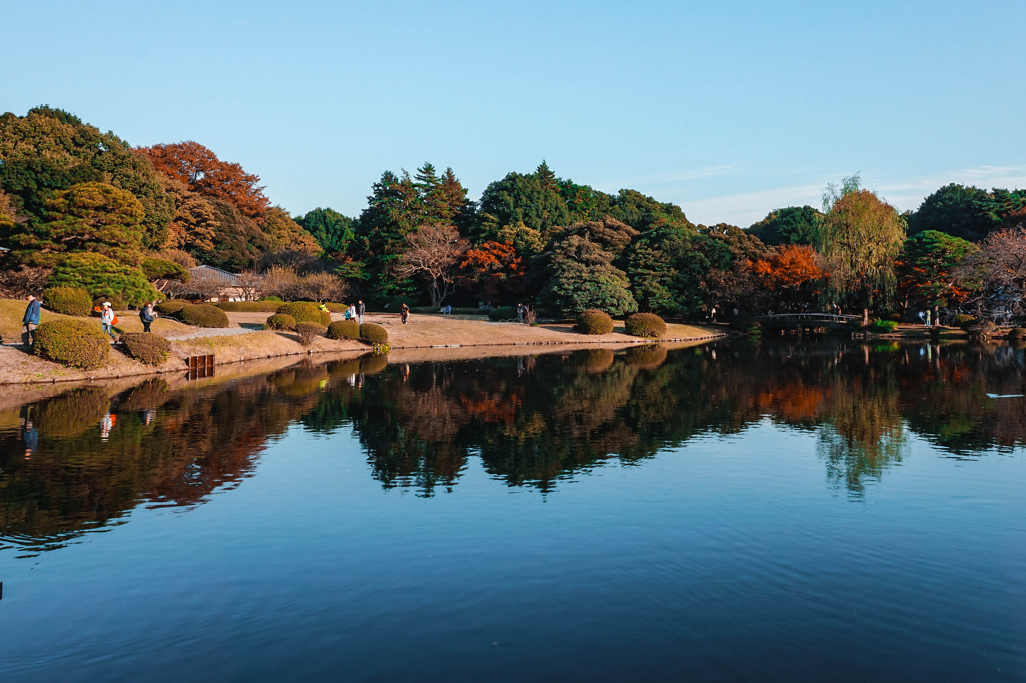Sony Alpha a5000 (ILCE 5000) sample photo. Garden by the reflection 2 photography