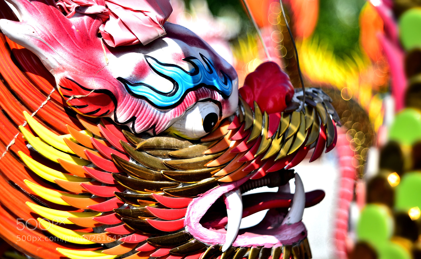Nikon D750 sample photo. Dsc photography