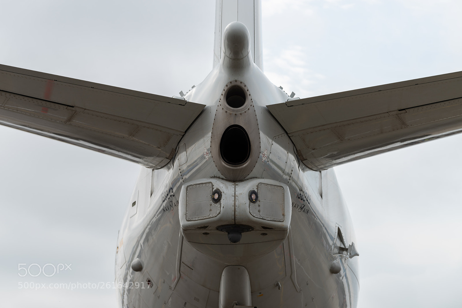Nikon D810 sample photo. Rear view photography