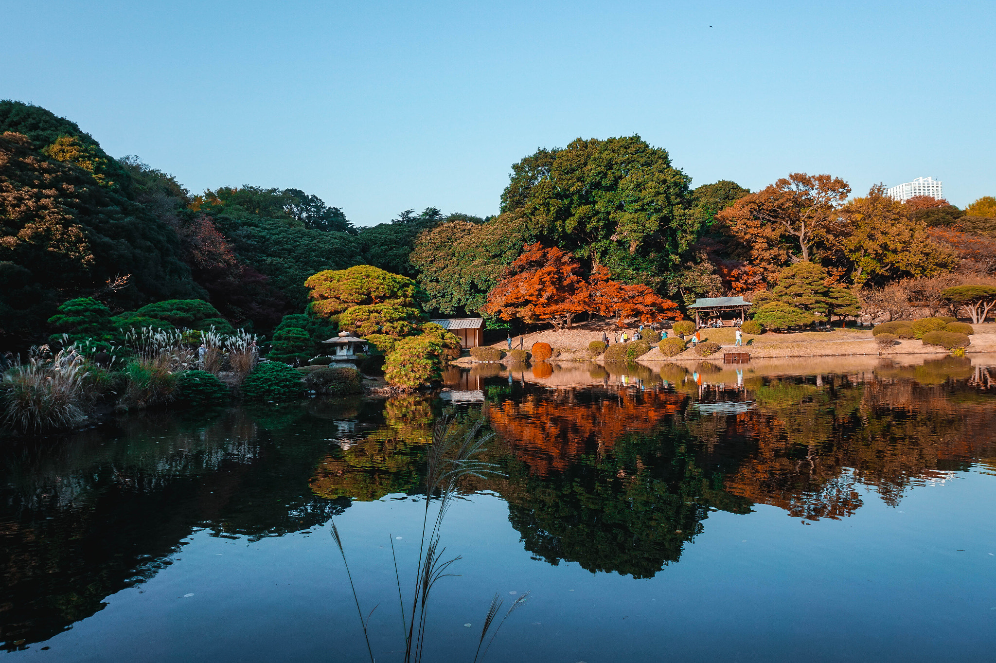 Sony Alpha a5000 (ILCE 5000) sample photo. Garden by the reflection 3 photography
