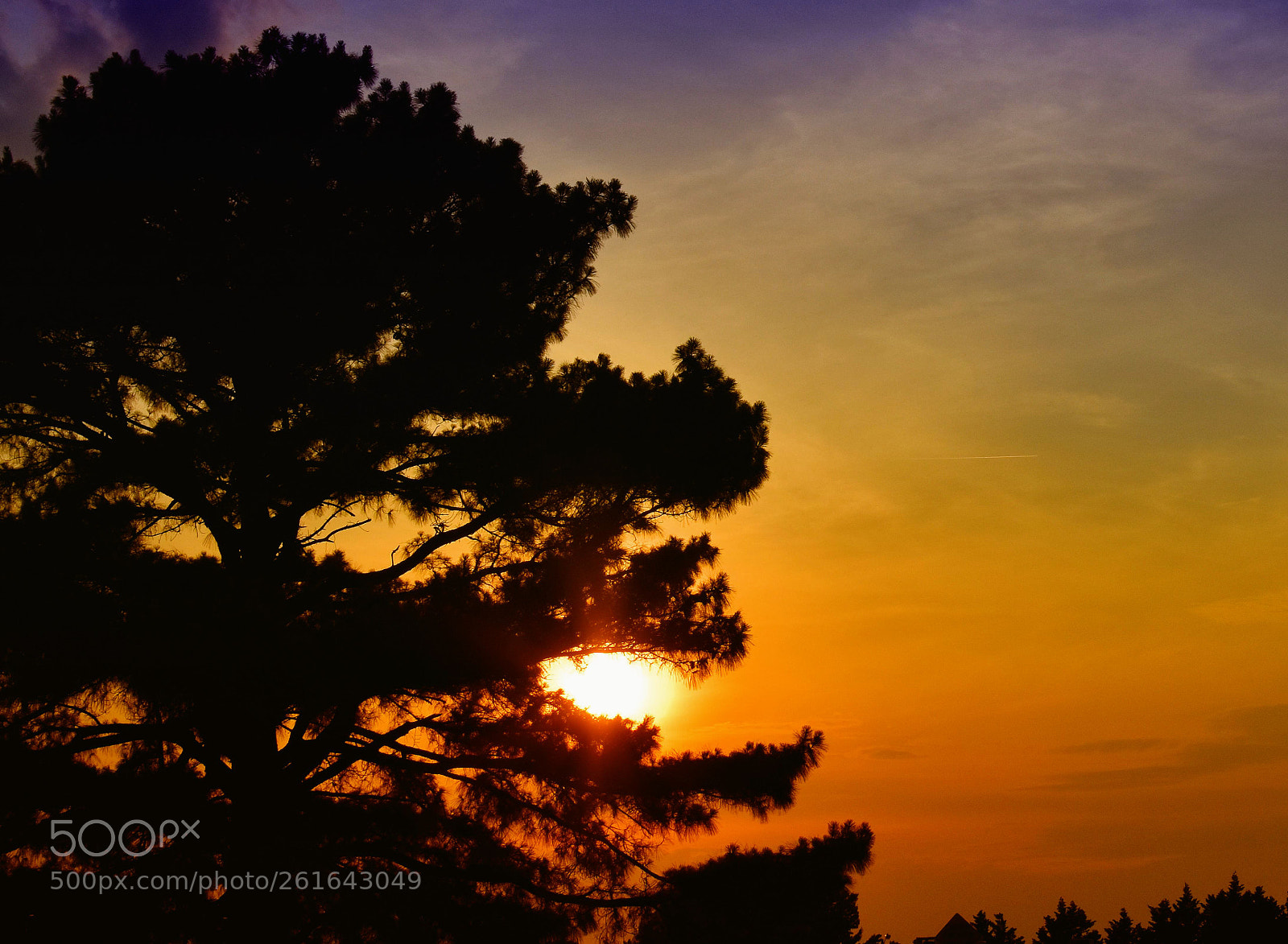 Nikon D3400 sample photo. Sunset in newport news photography