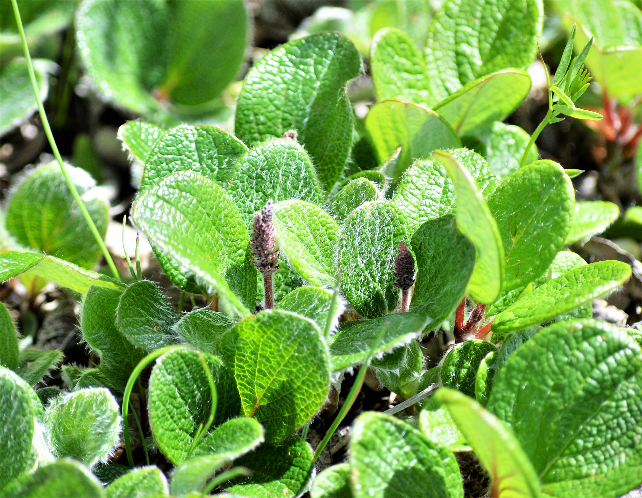 Nikon D3200 sample photo