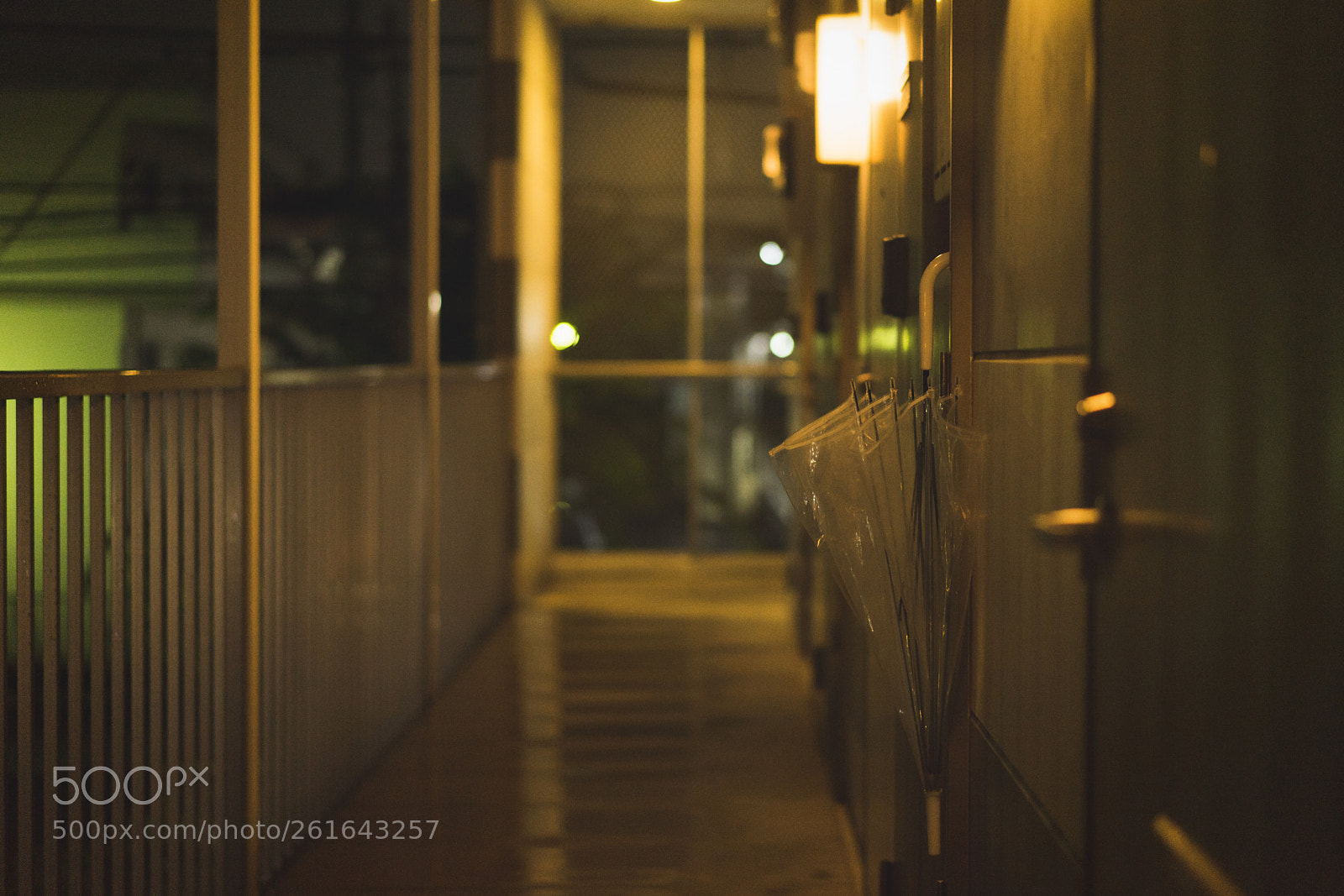 Sony a7 II sample photo. Rainy day photography