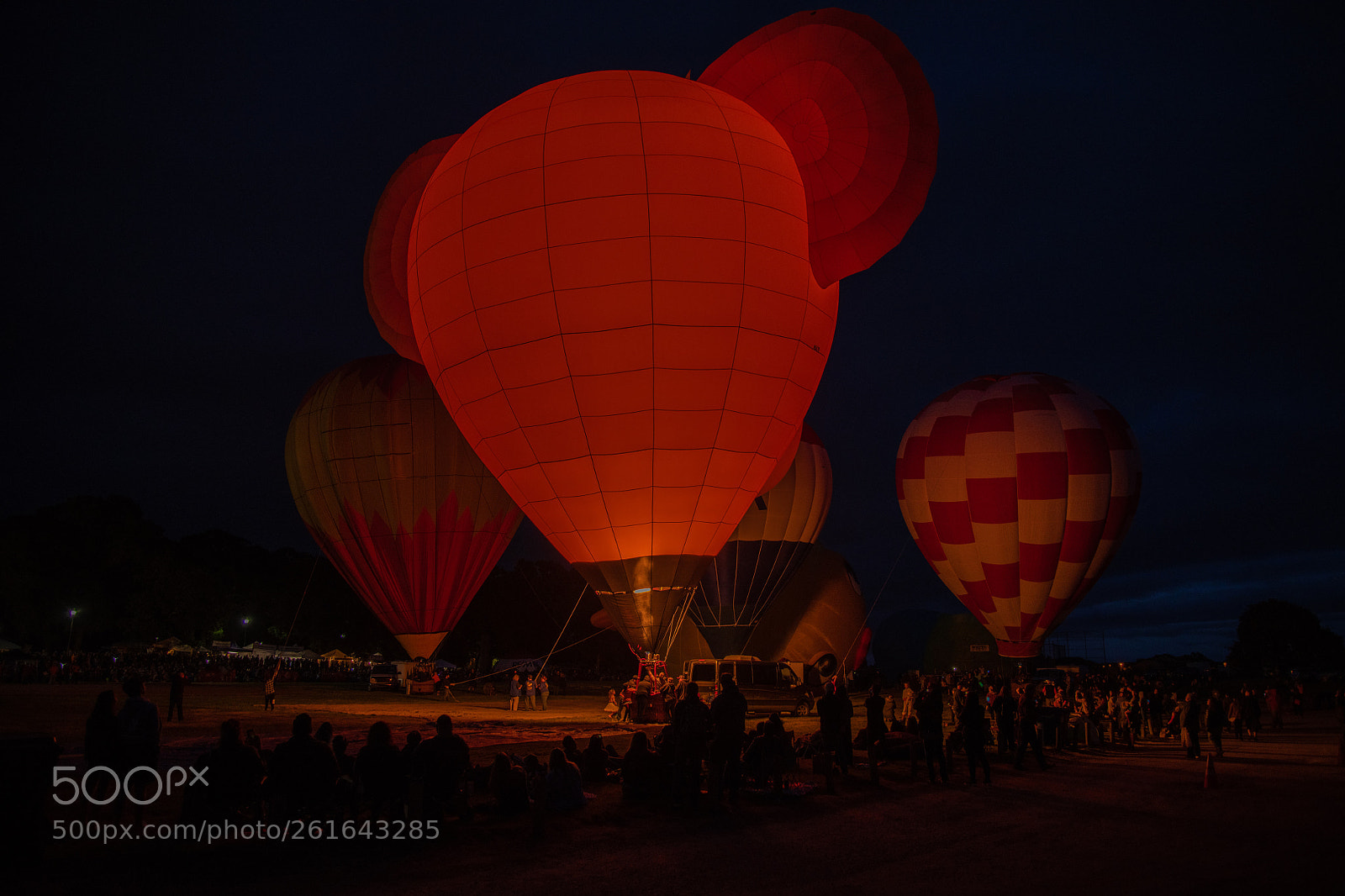 Nikon D850 sample photo. Hot air balloon show--sonoma photography