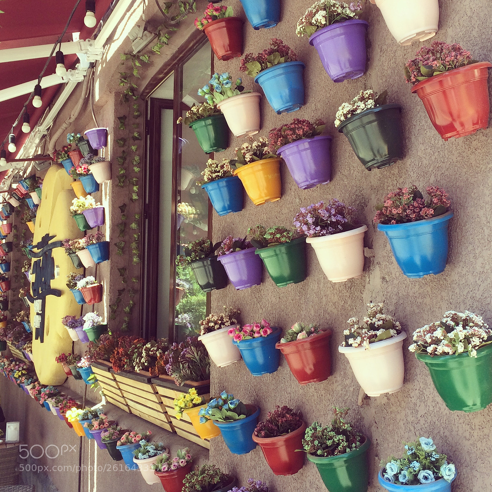 Apple iPhone 5s sample photo. Flowers wall photography