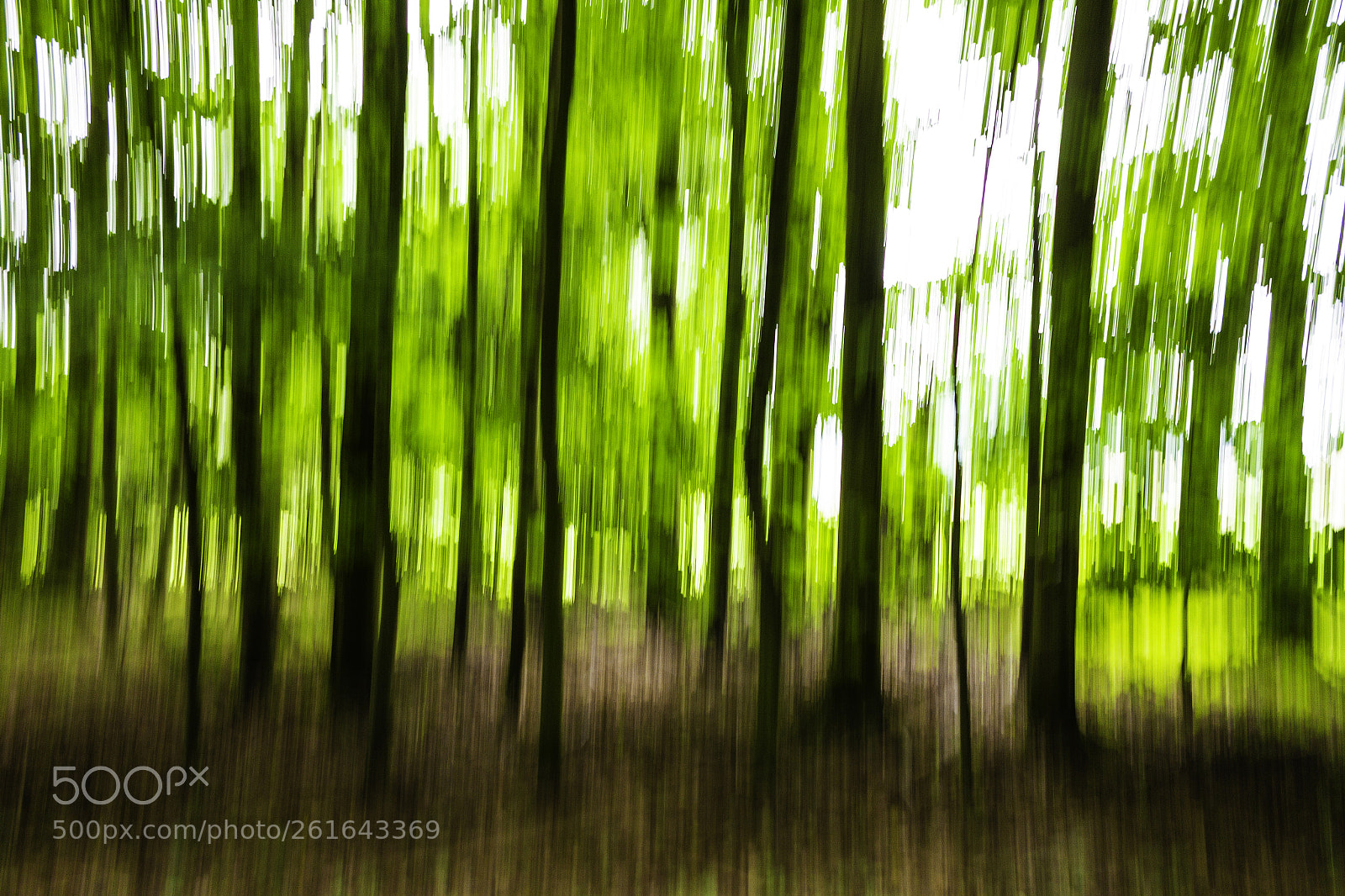 Canon EOS 7D sample photo. Blurry trees photography