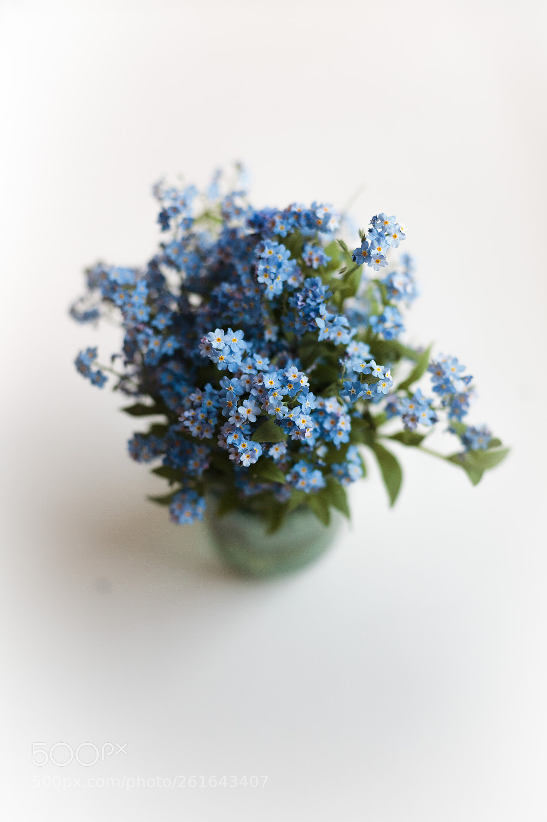 Canon EOS 5D sample photo. Img1 photography