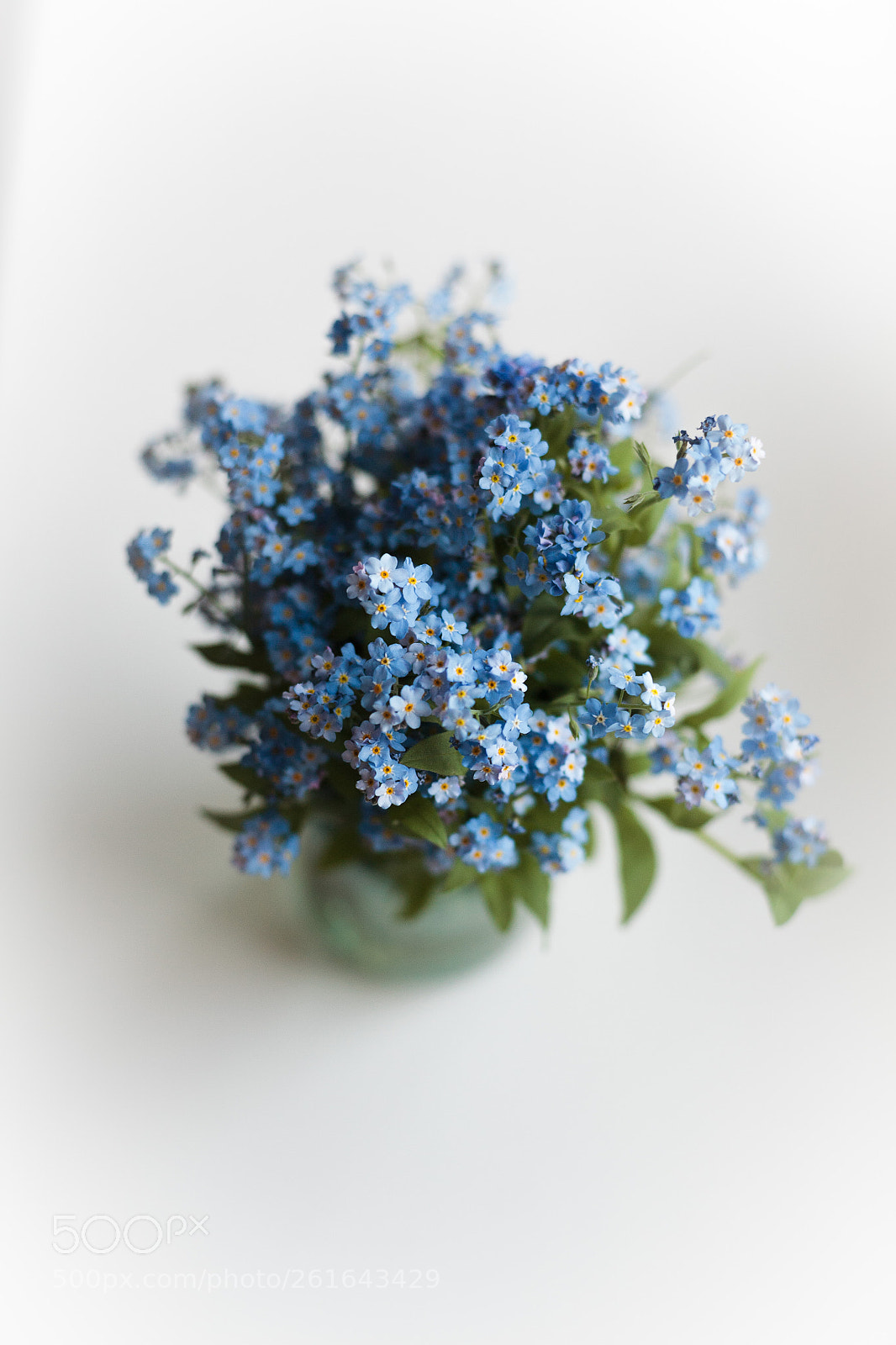 Canon EOS 5D sample photo. Img1 photography