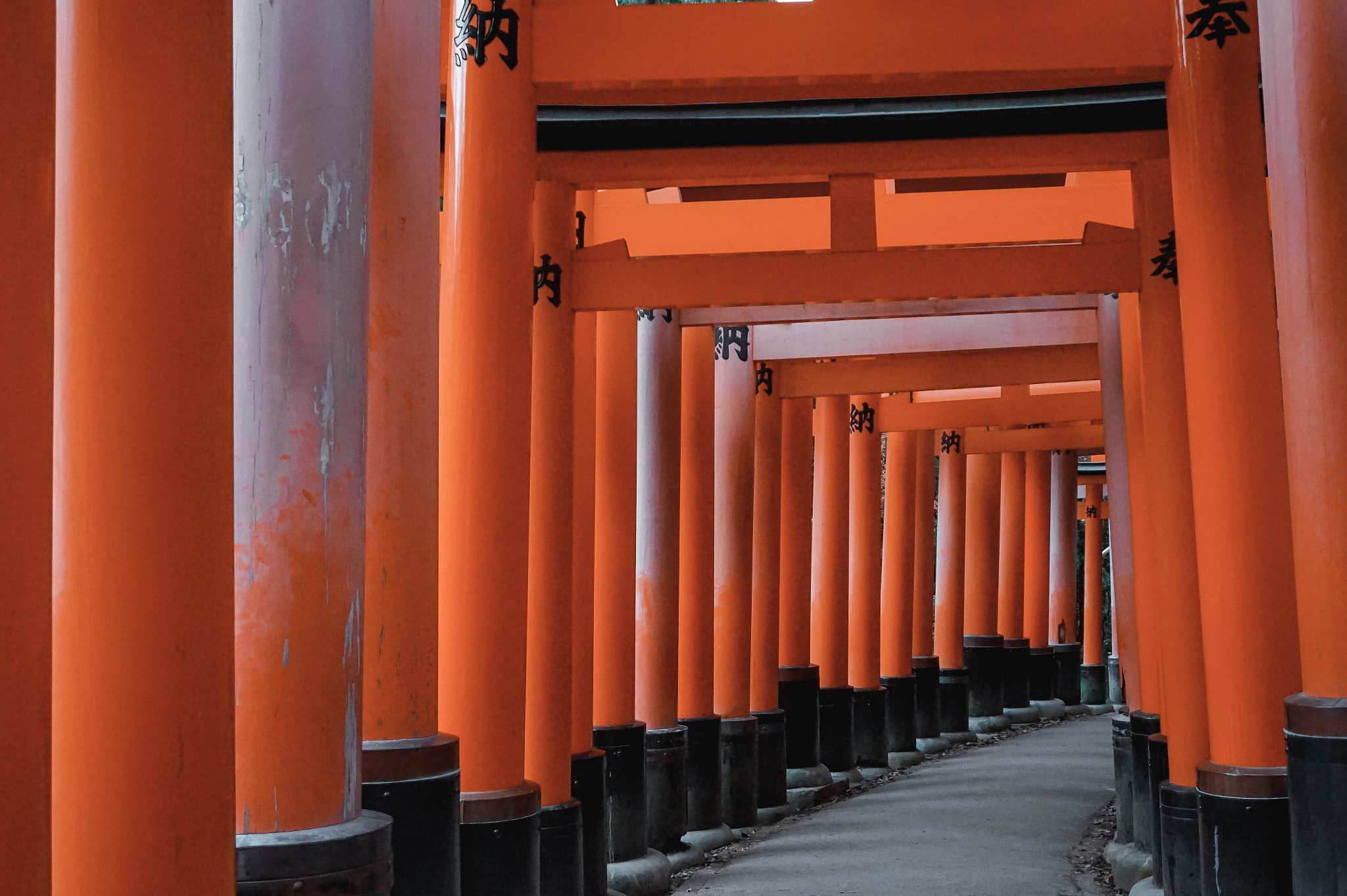 Sony Alpha a5000 (ILCE 5000) sample photo. Torii photography
