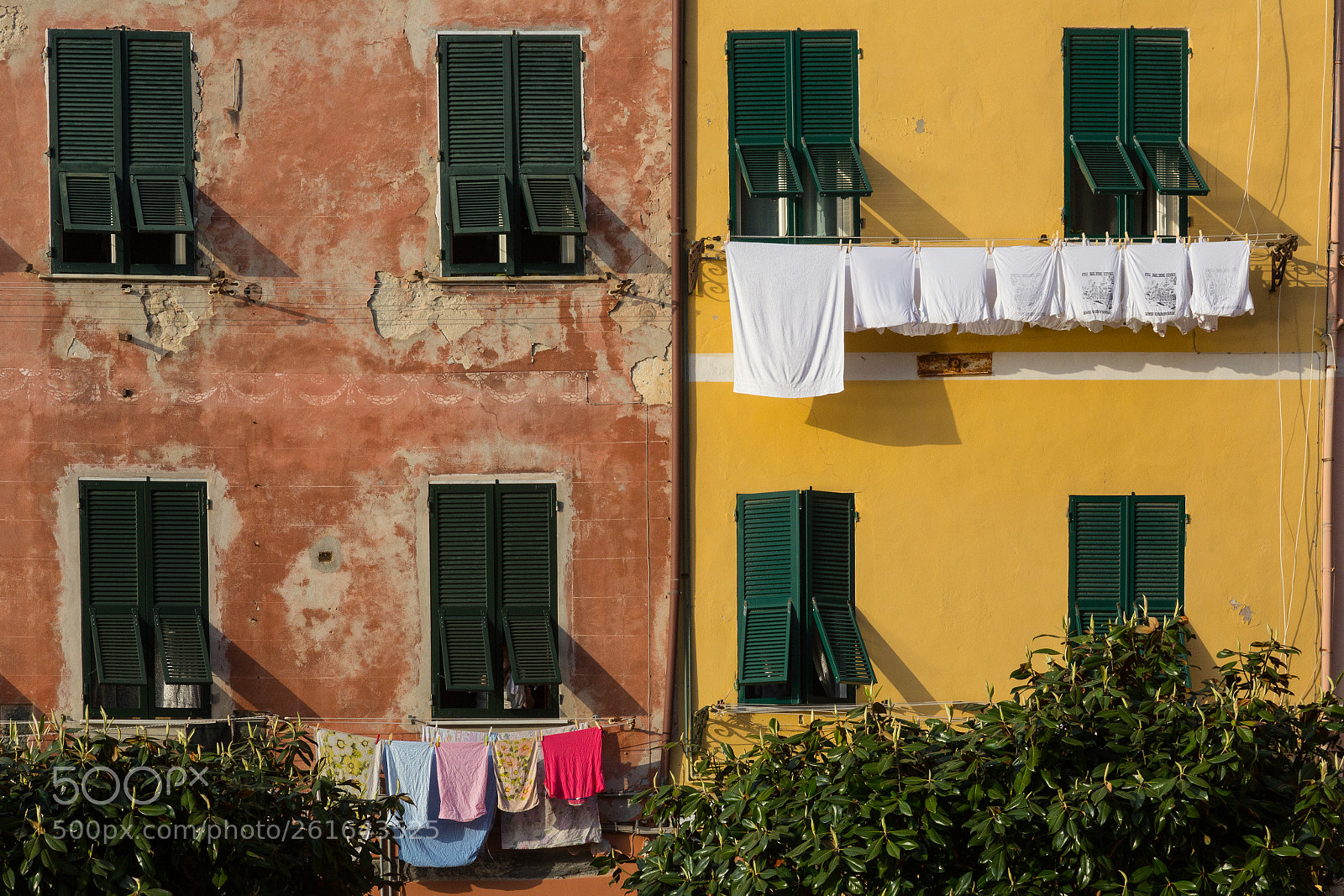 Canon EOS 6D sample photo. Vernazza's life photography