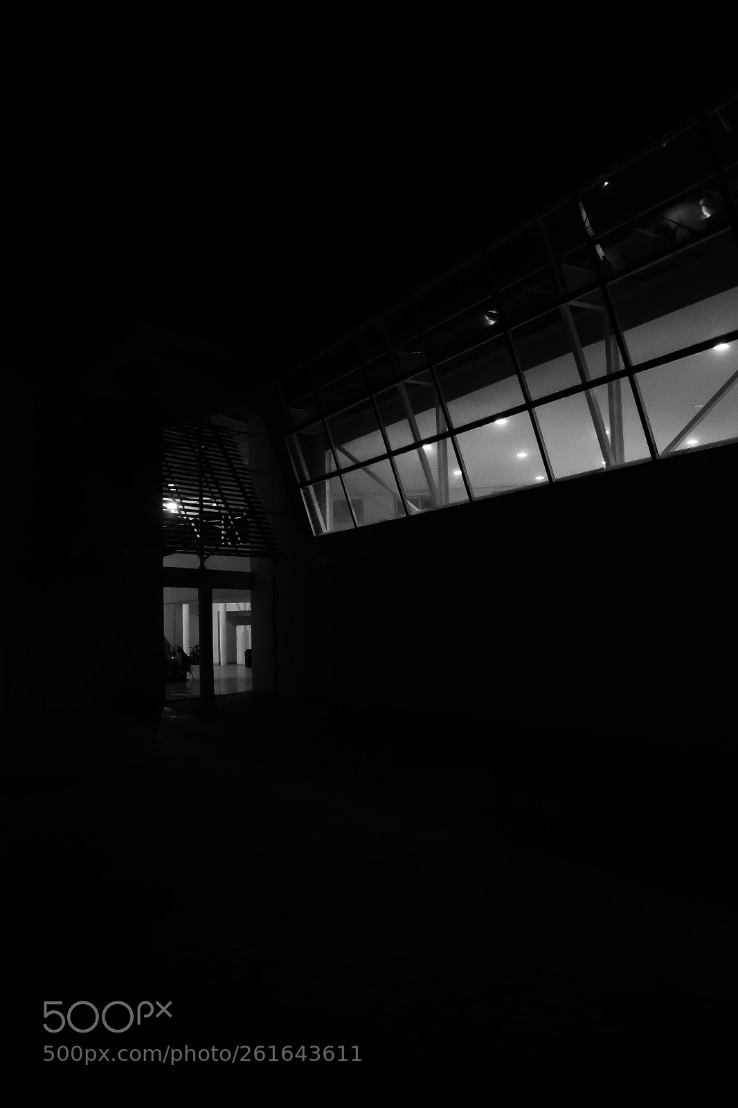 Canon EOS 600D (Rebel EOS T3i / EOS Kiss X5) sample photo. Black and white photography