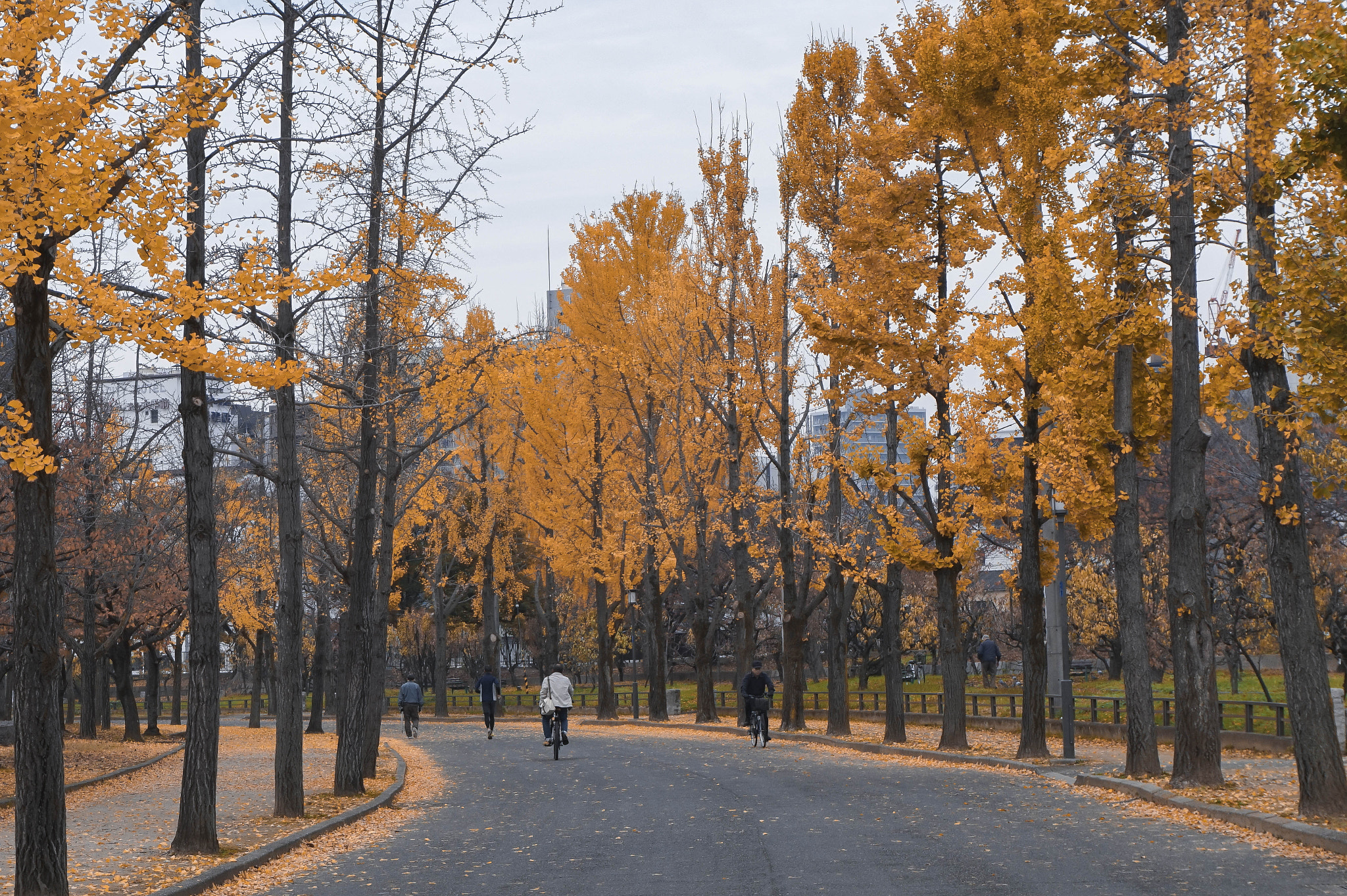 Sony Alpha a5000 (ILCE 5000) sample photo. Fall photography